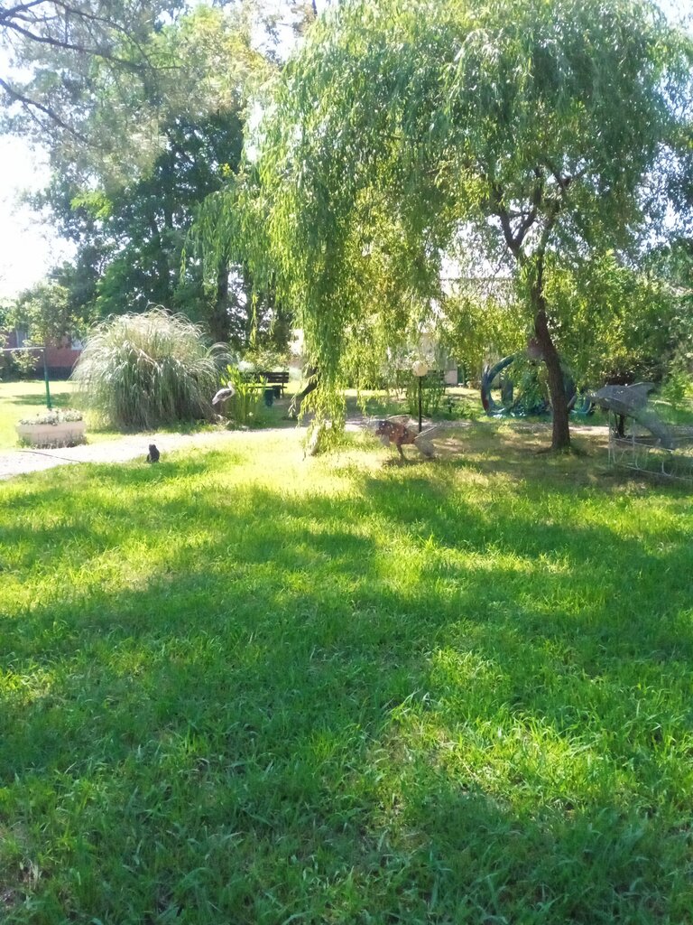 Entry sign Пансионат Макопсе, Sochi, photo