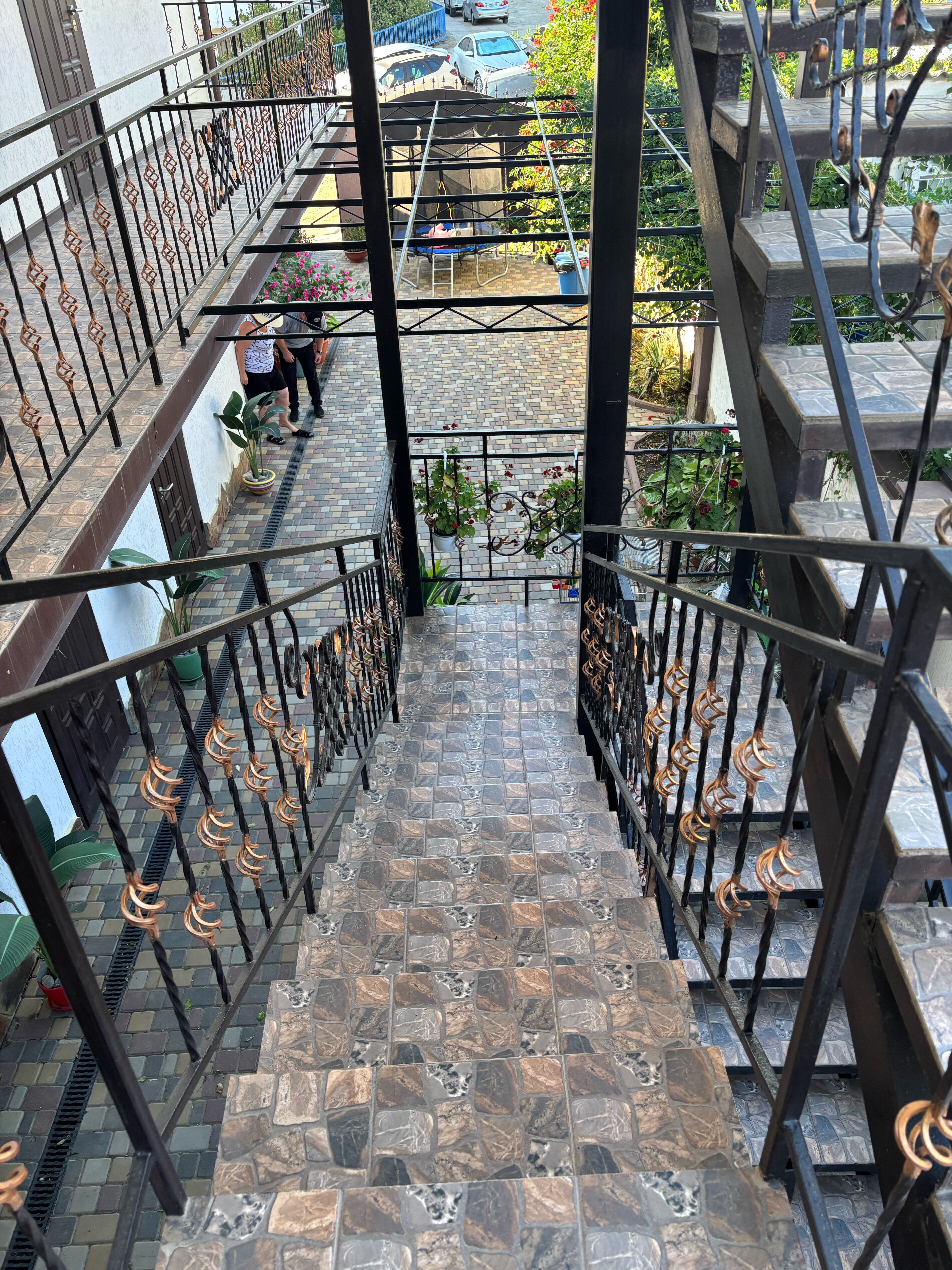 Фото Белый лебедь