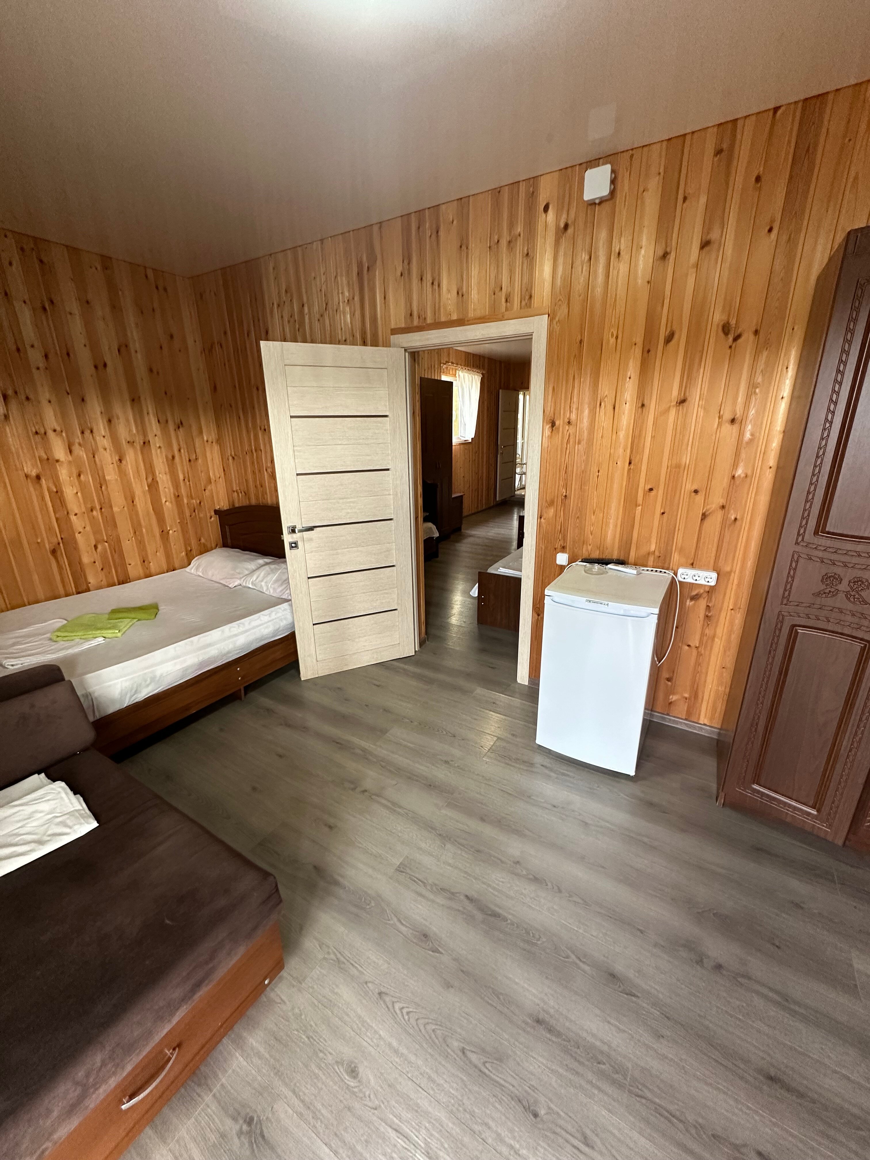 Фото Пальма Финик