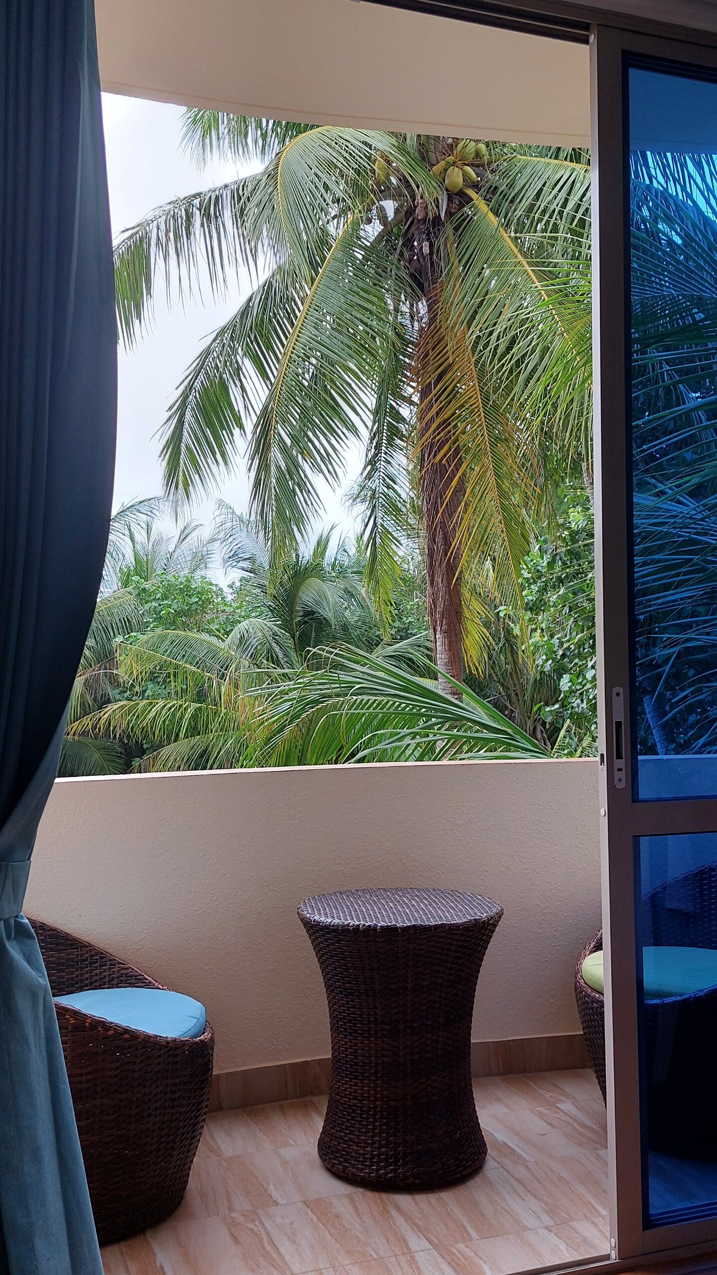 Фото Season Paradise