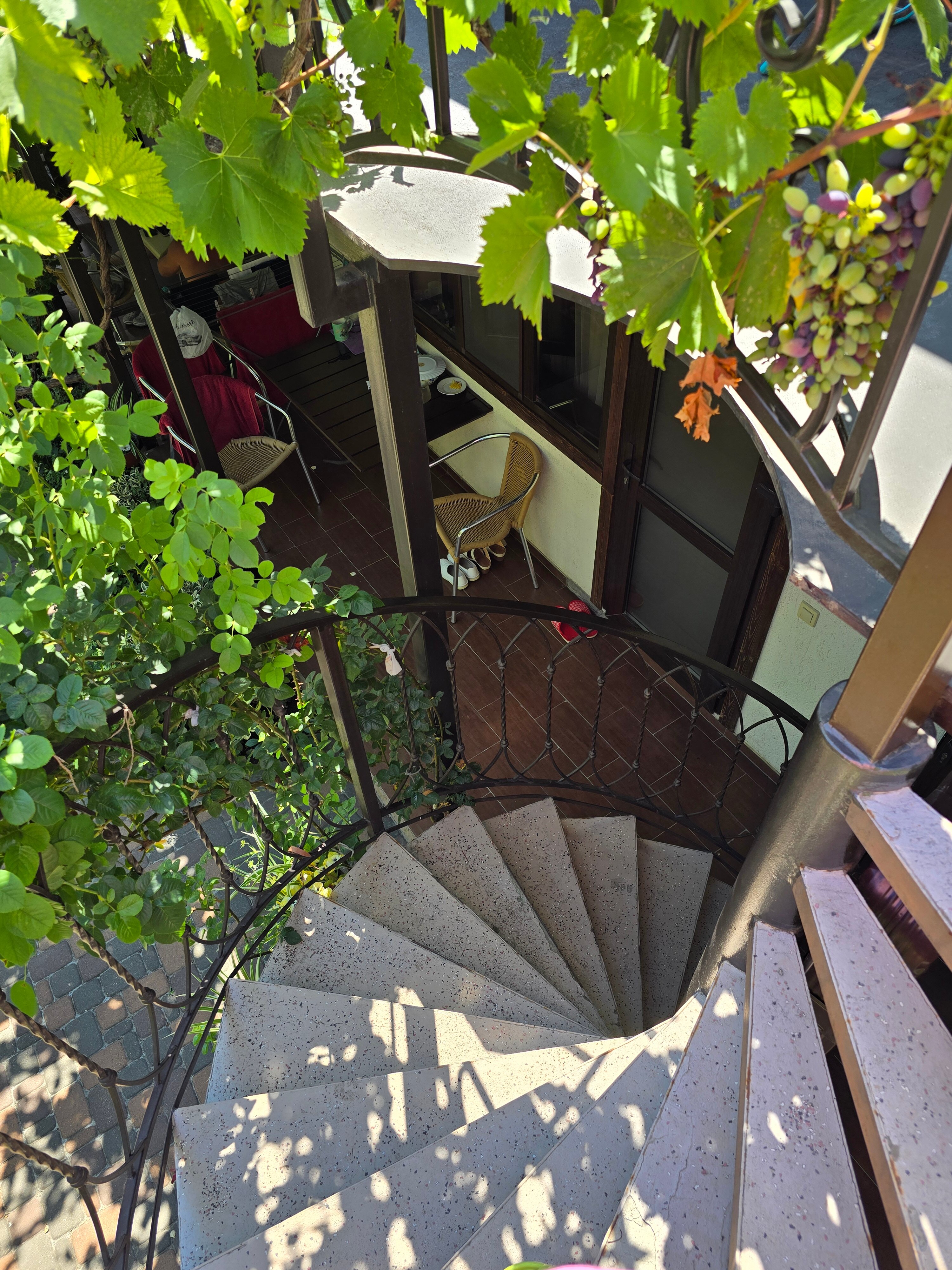 Фото Садорини