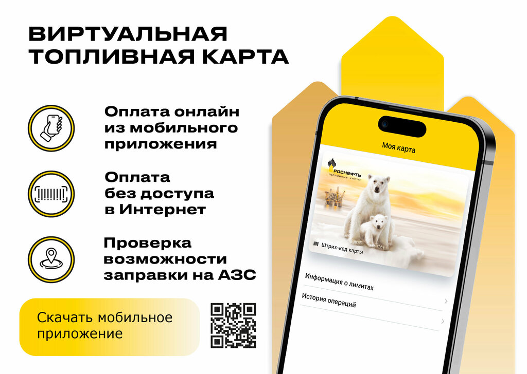 Fuel cards Rn-card, Yaroslavl, photo