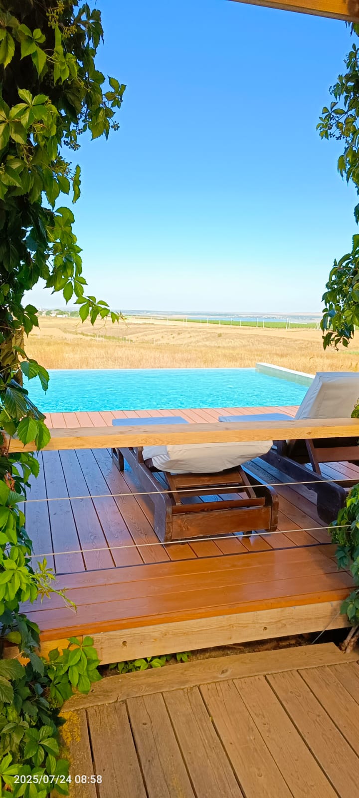 Фото Фридом