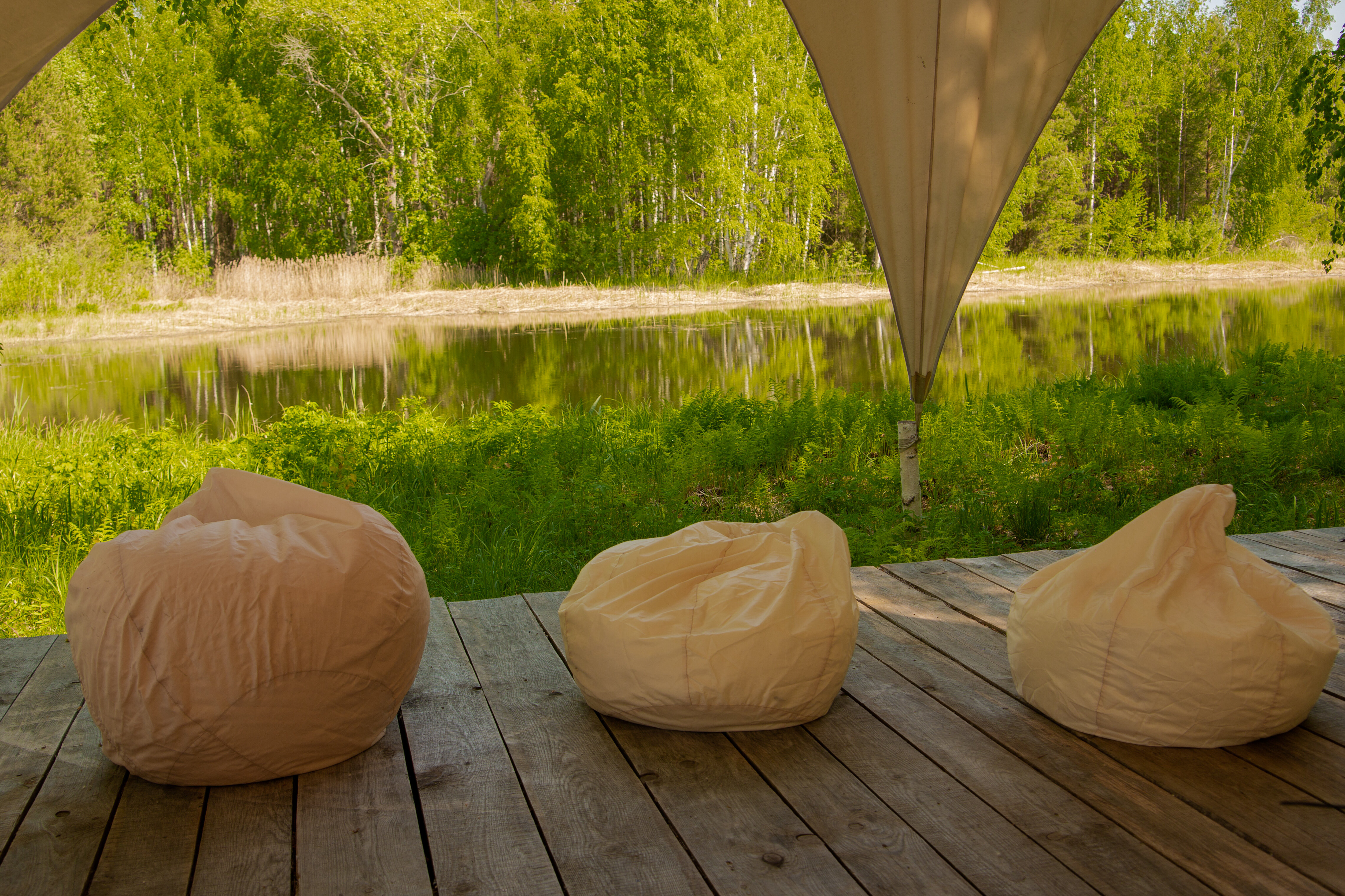 Фото Берег Грифона