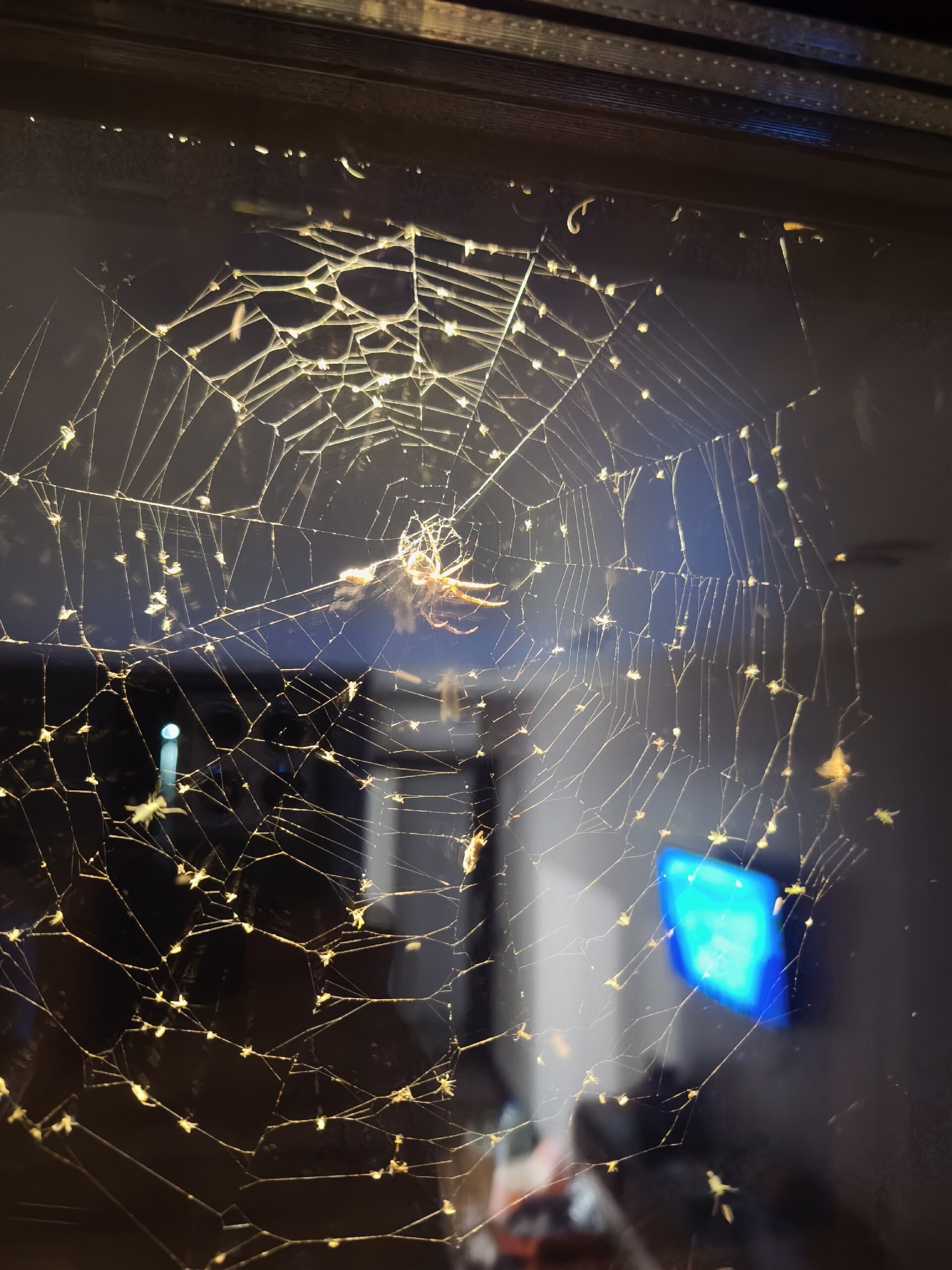 Фото Солнце, воздух и вода