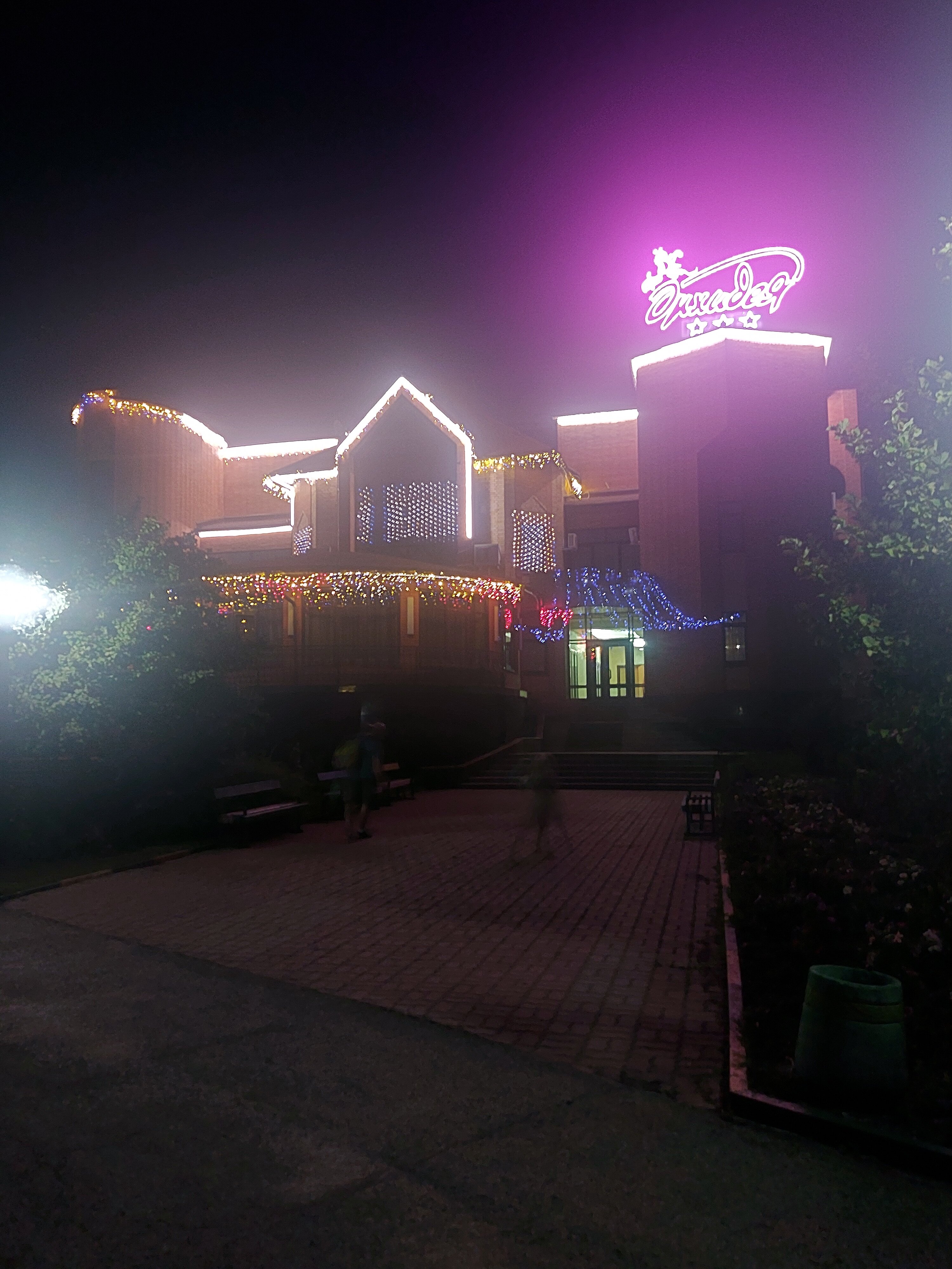 Фото Орхидея