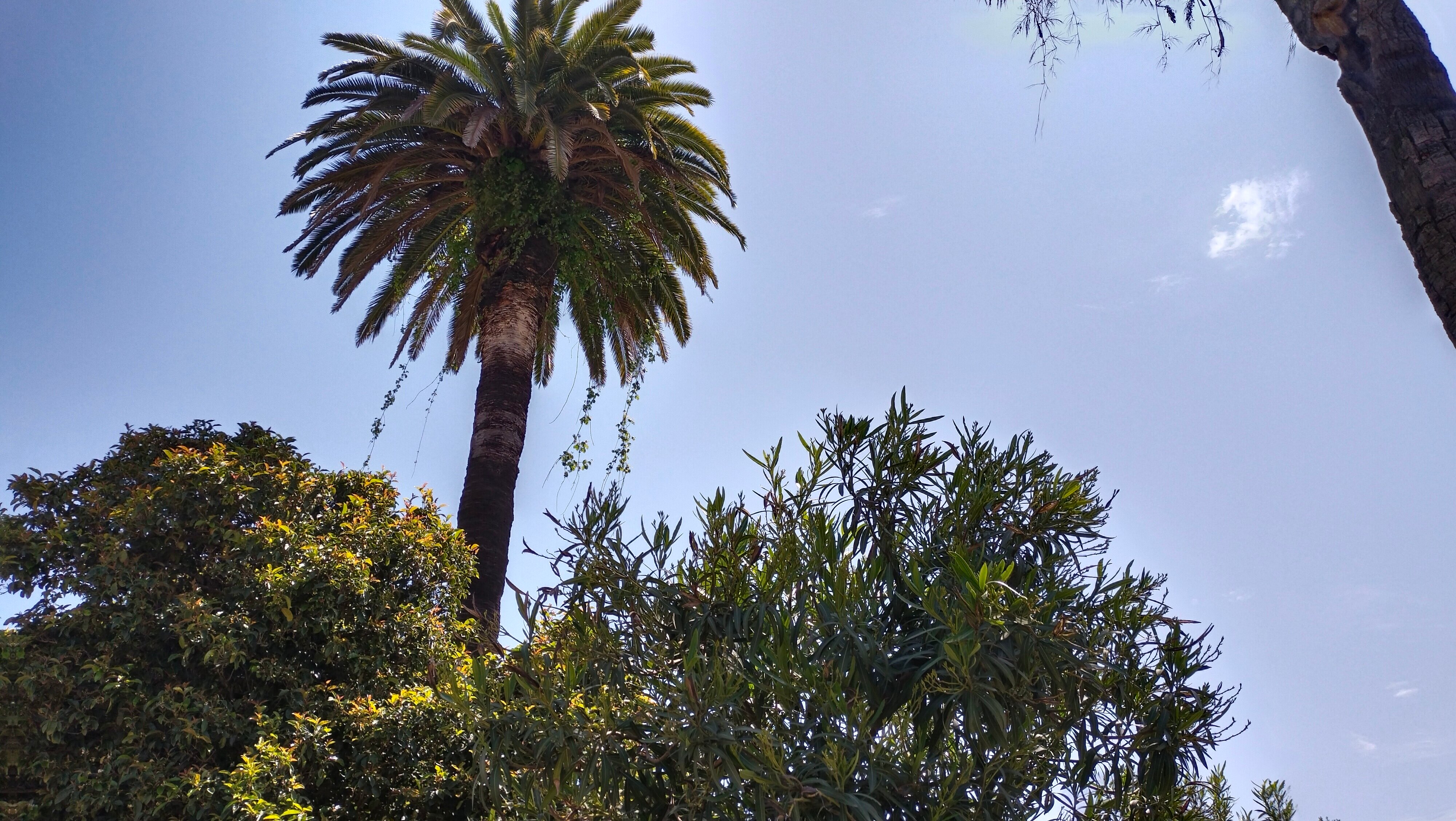 Фото Гранд Отель Маяк