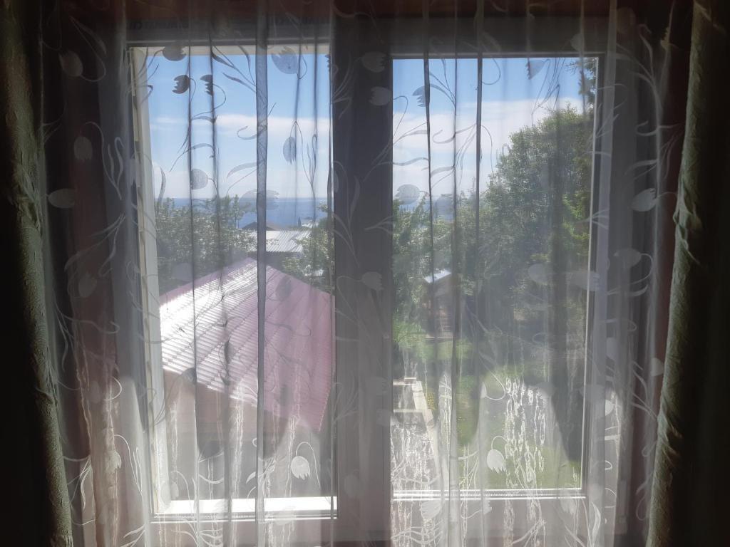 Фото Ёлочка