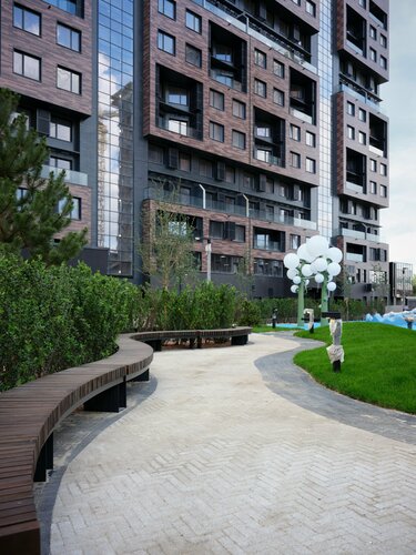 Жыныс мүшесін есекке енгізу