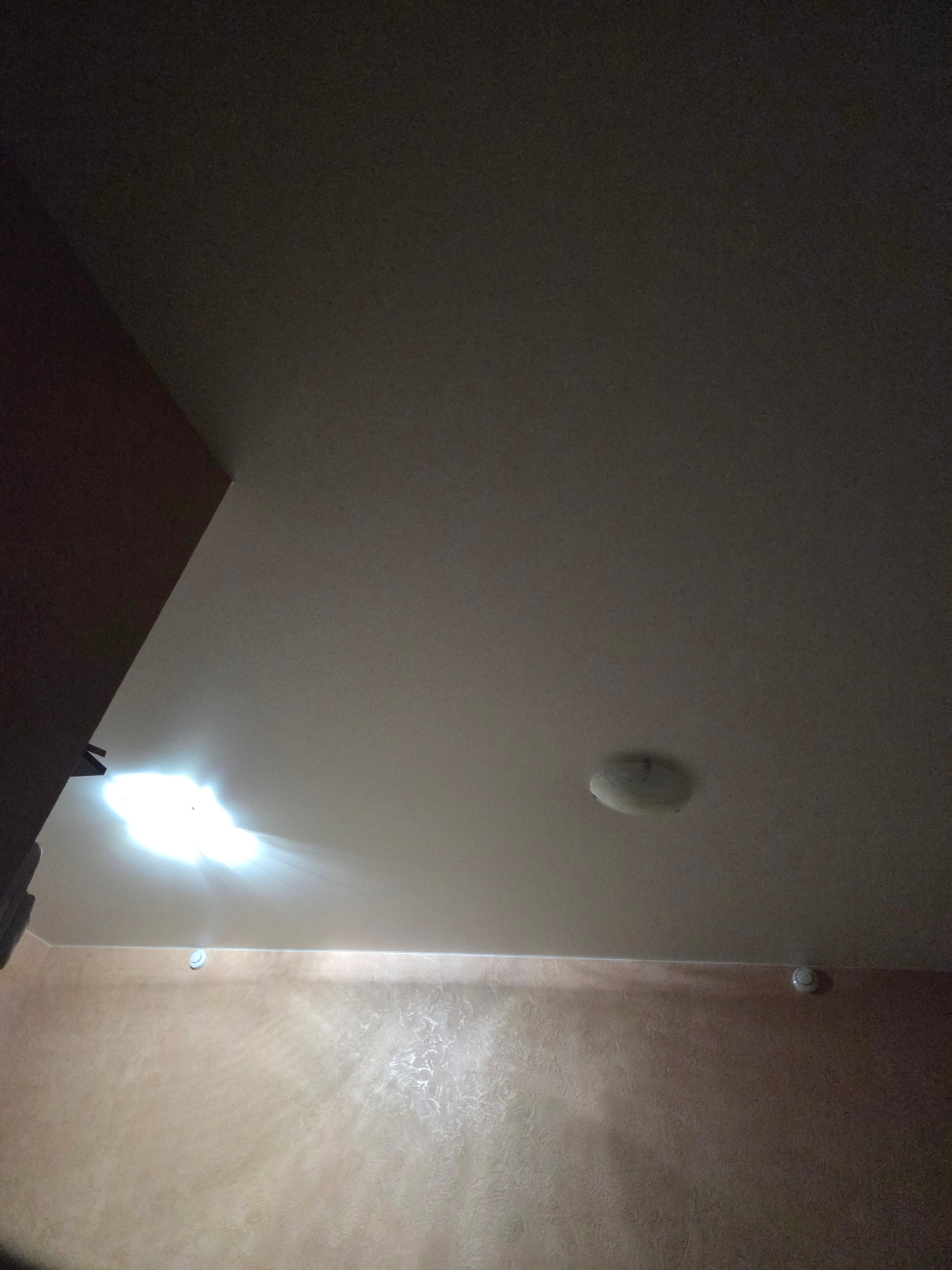 Фото Дубрава