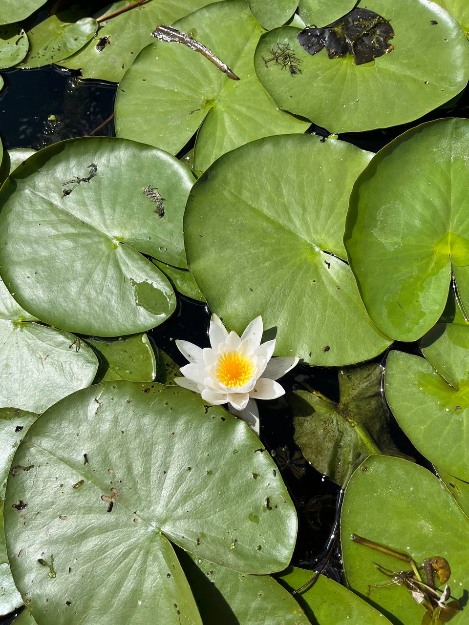 Фото На Заре