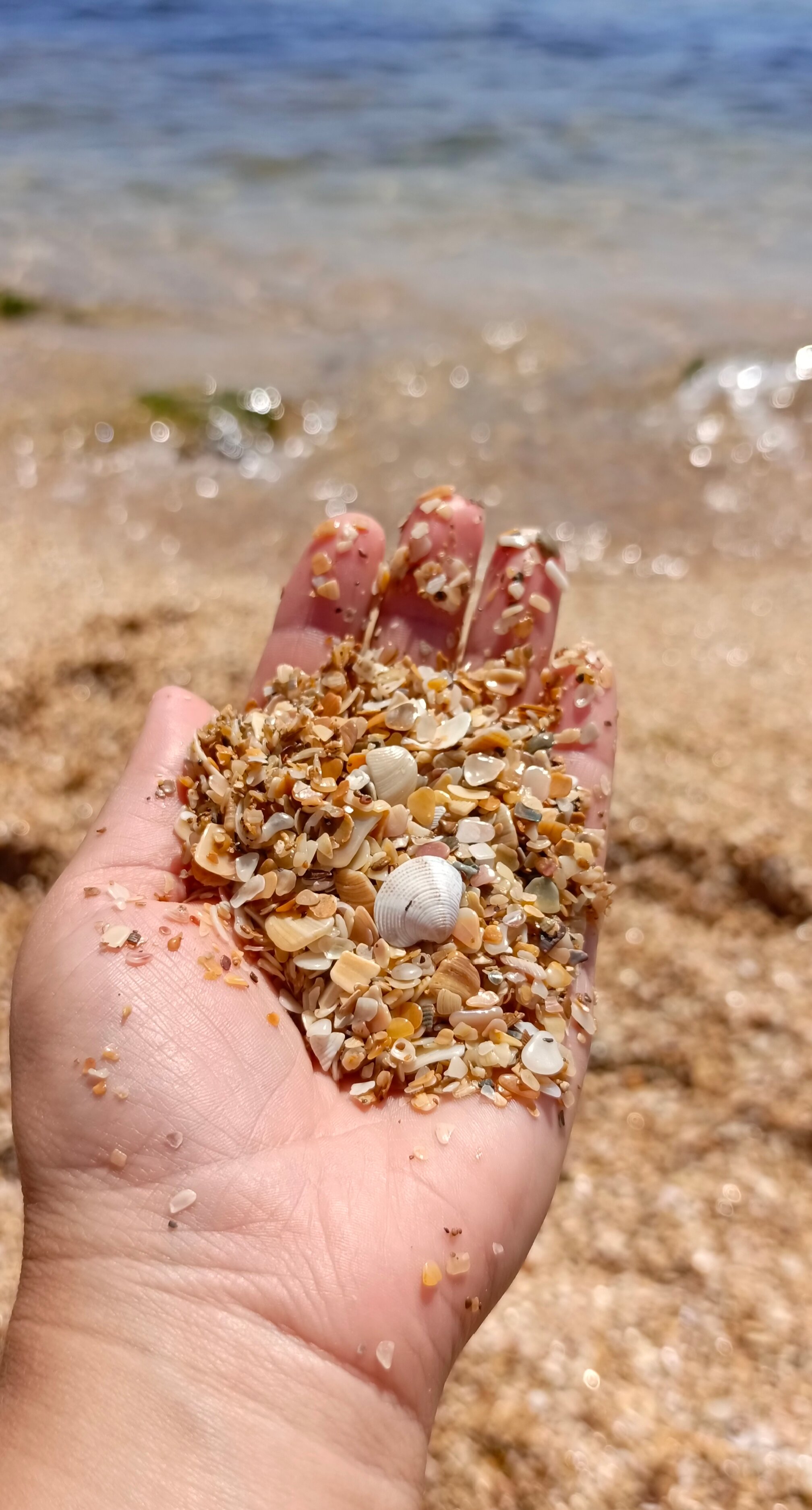 Фото Семейный очаг