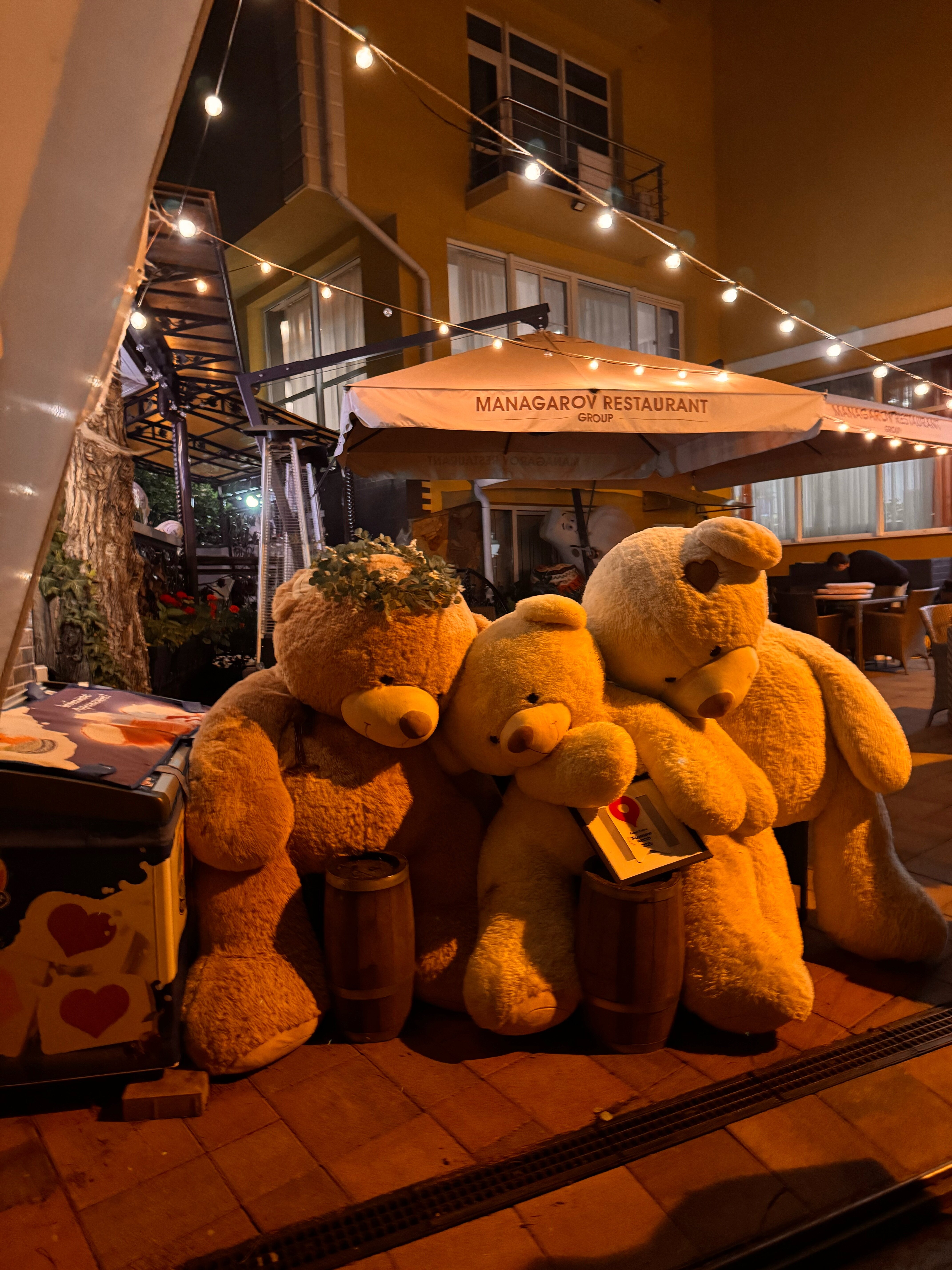 Фото Пеликан