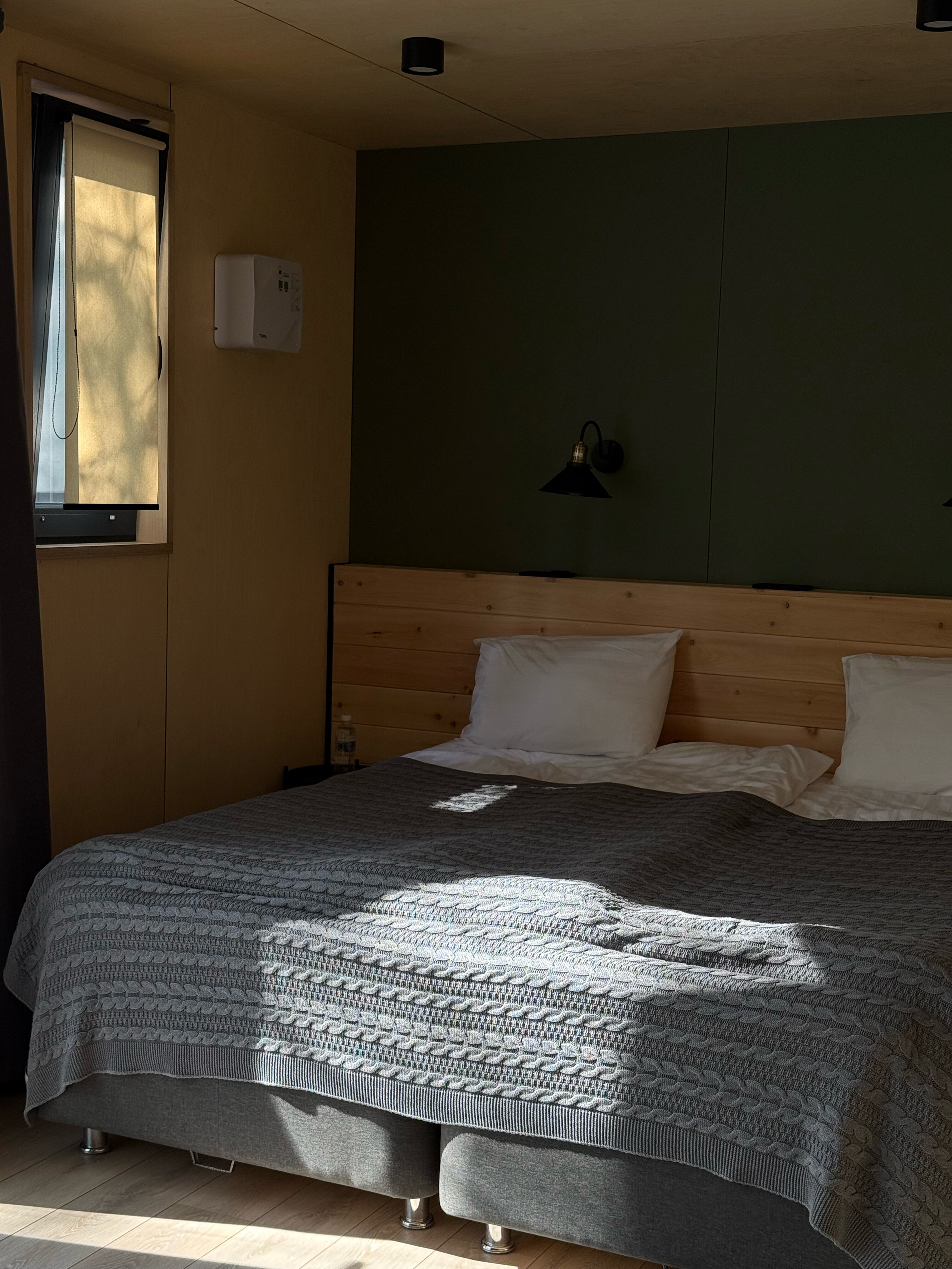 Фото Снежные Гуси