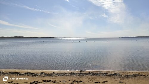 Жабайы жағажай, бәрі жалаңаш