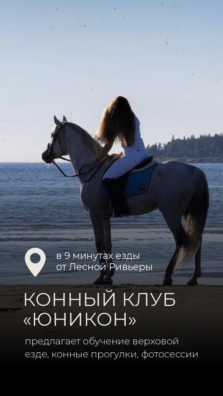 Фото Лесная Ривьера