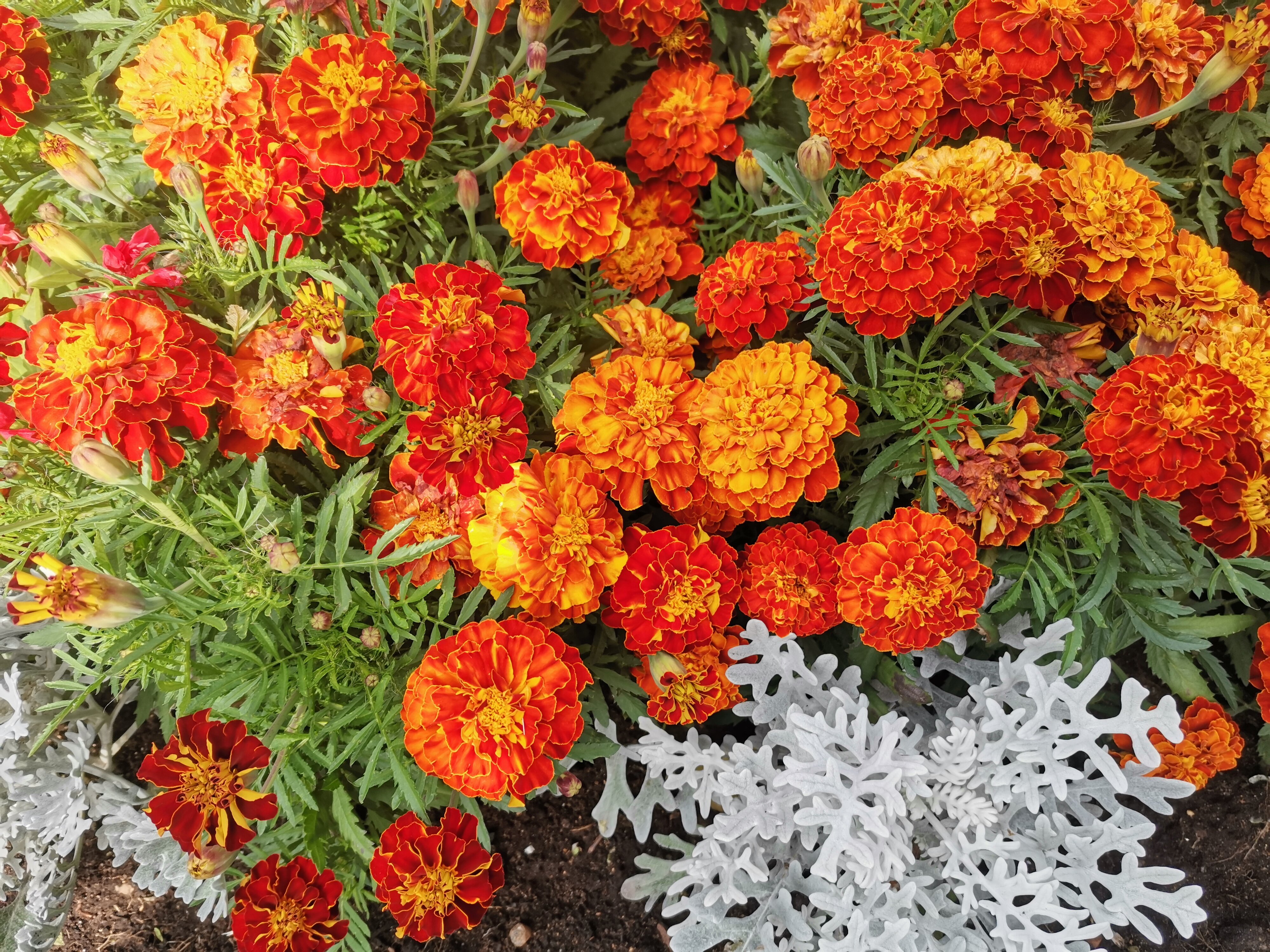 Фото Даурия