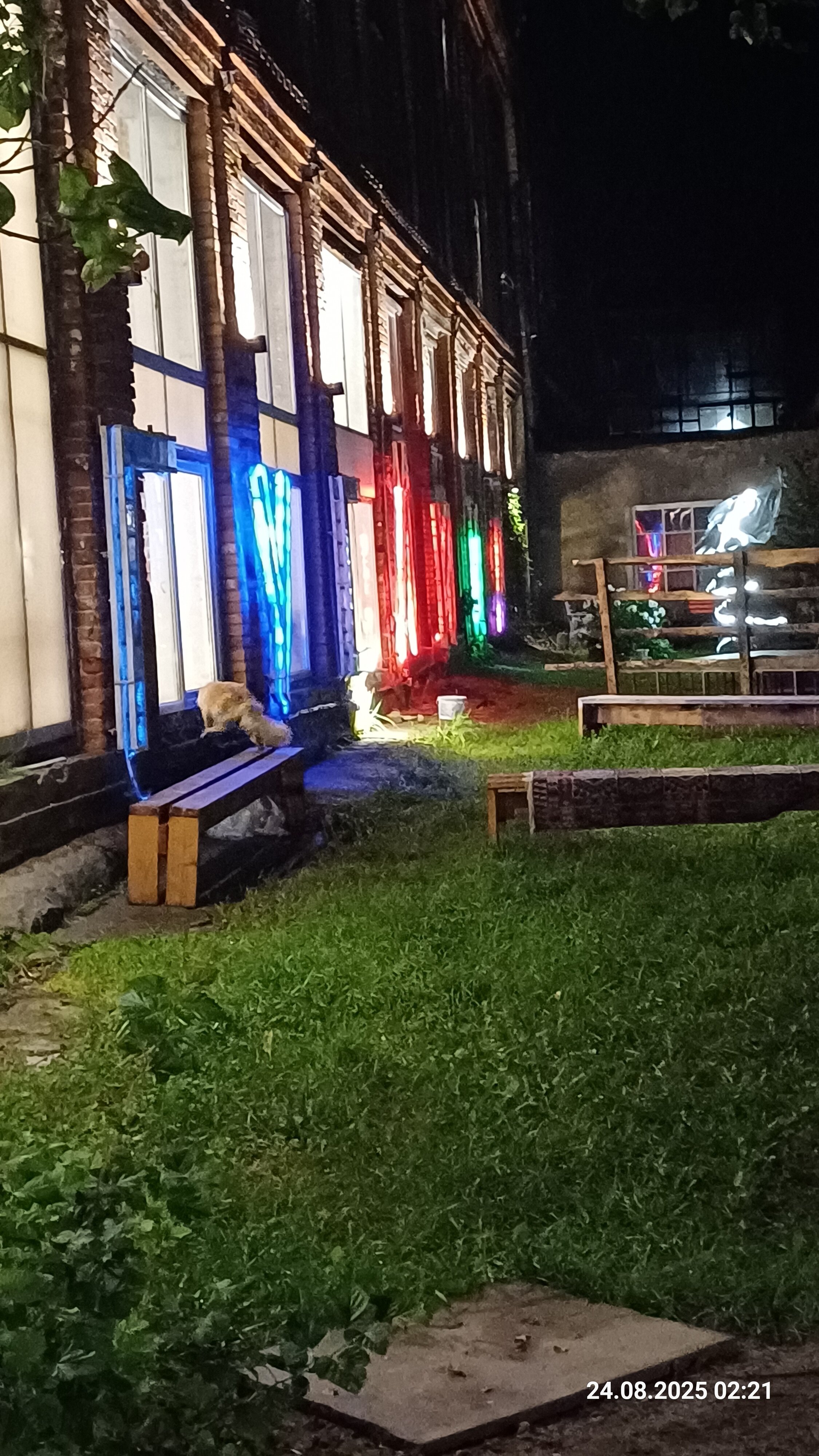 Фото Гуслица