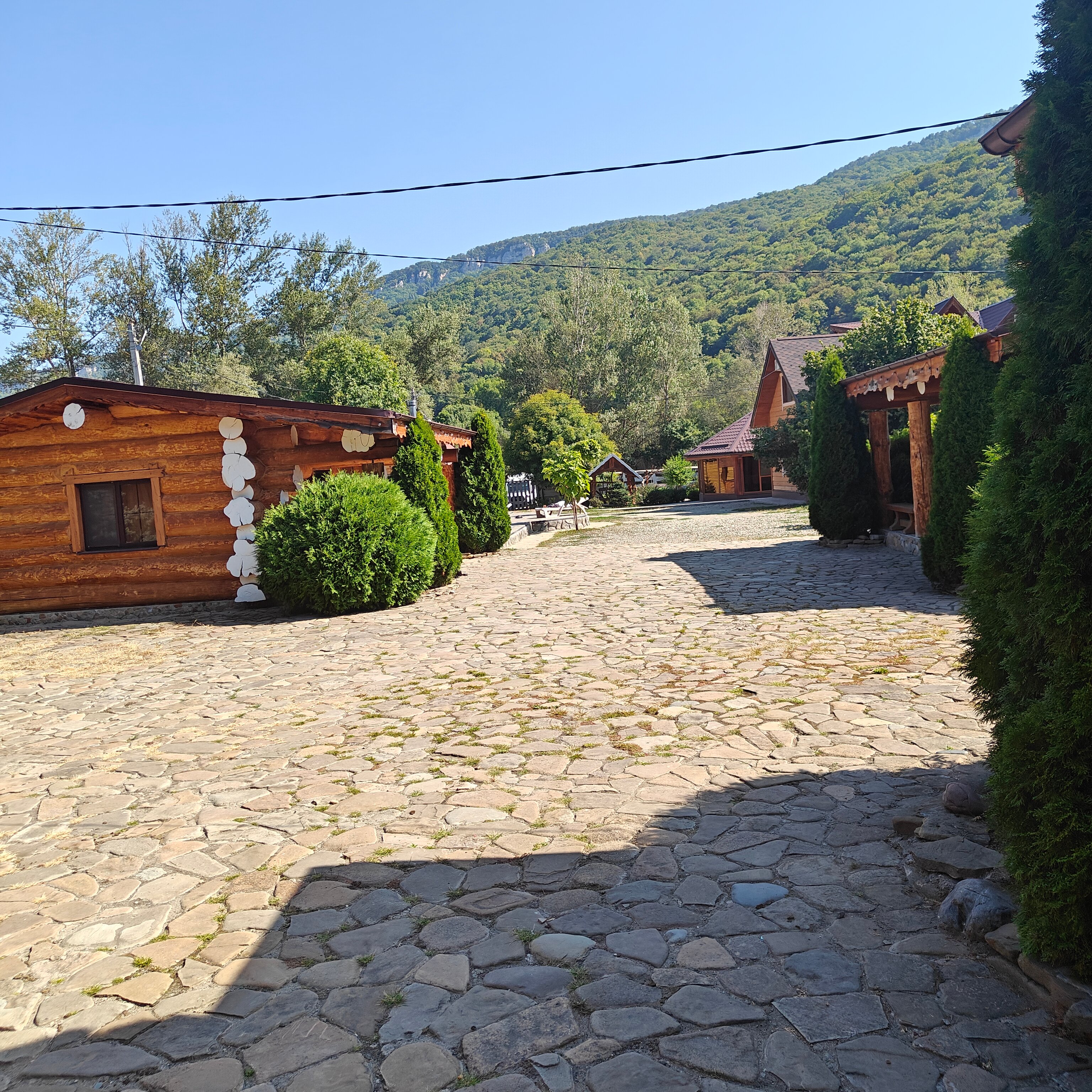 Фото Денница