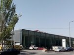 Top Shintekh LLC (Acharyan Street, 41/3), adhesives