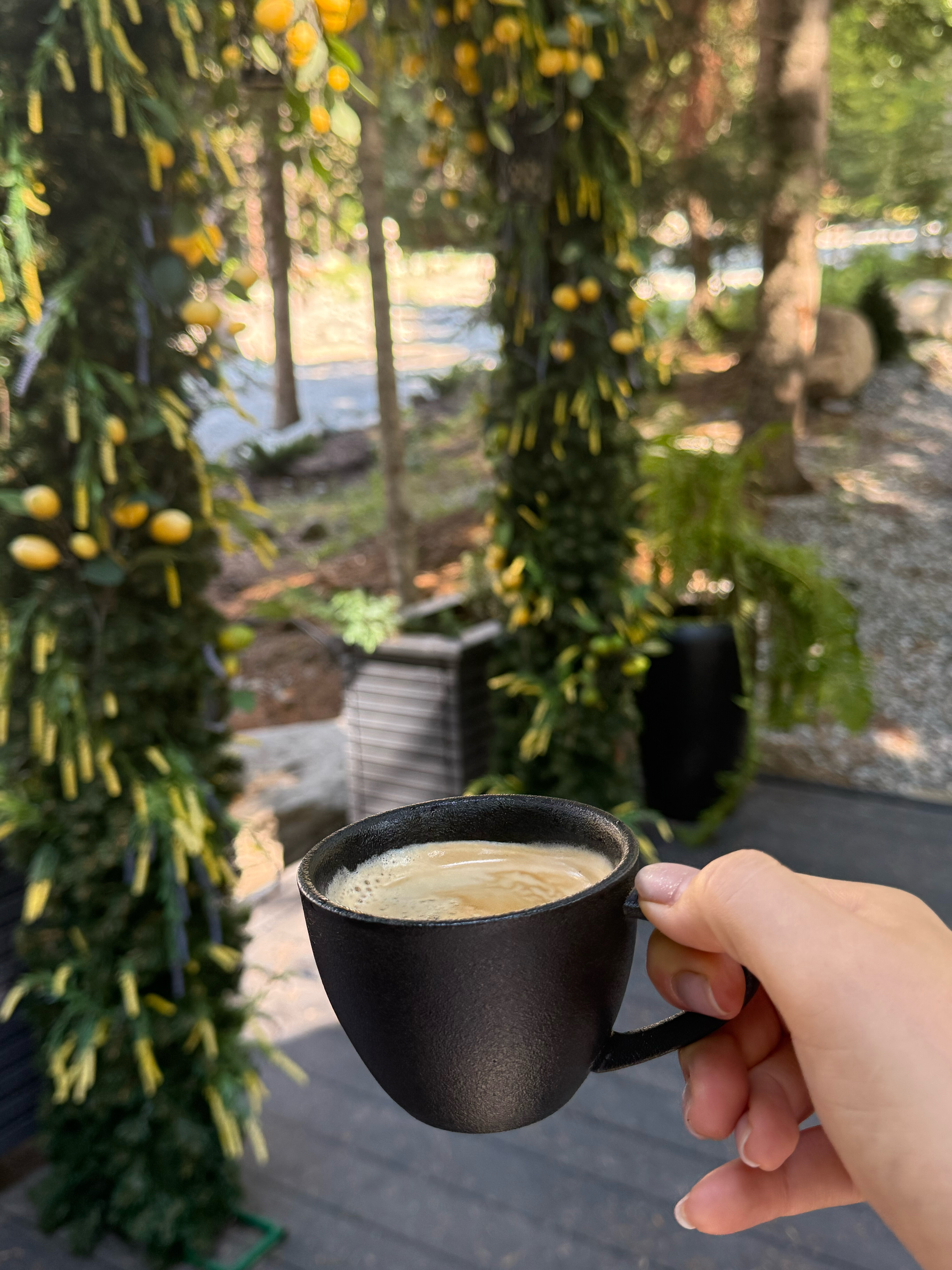 Фото Magic Forest