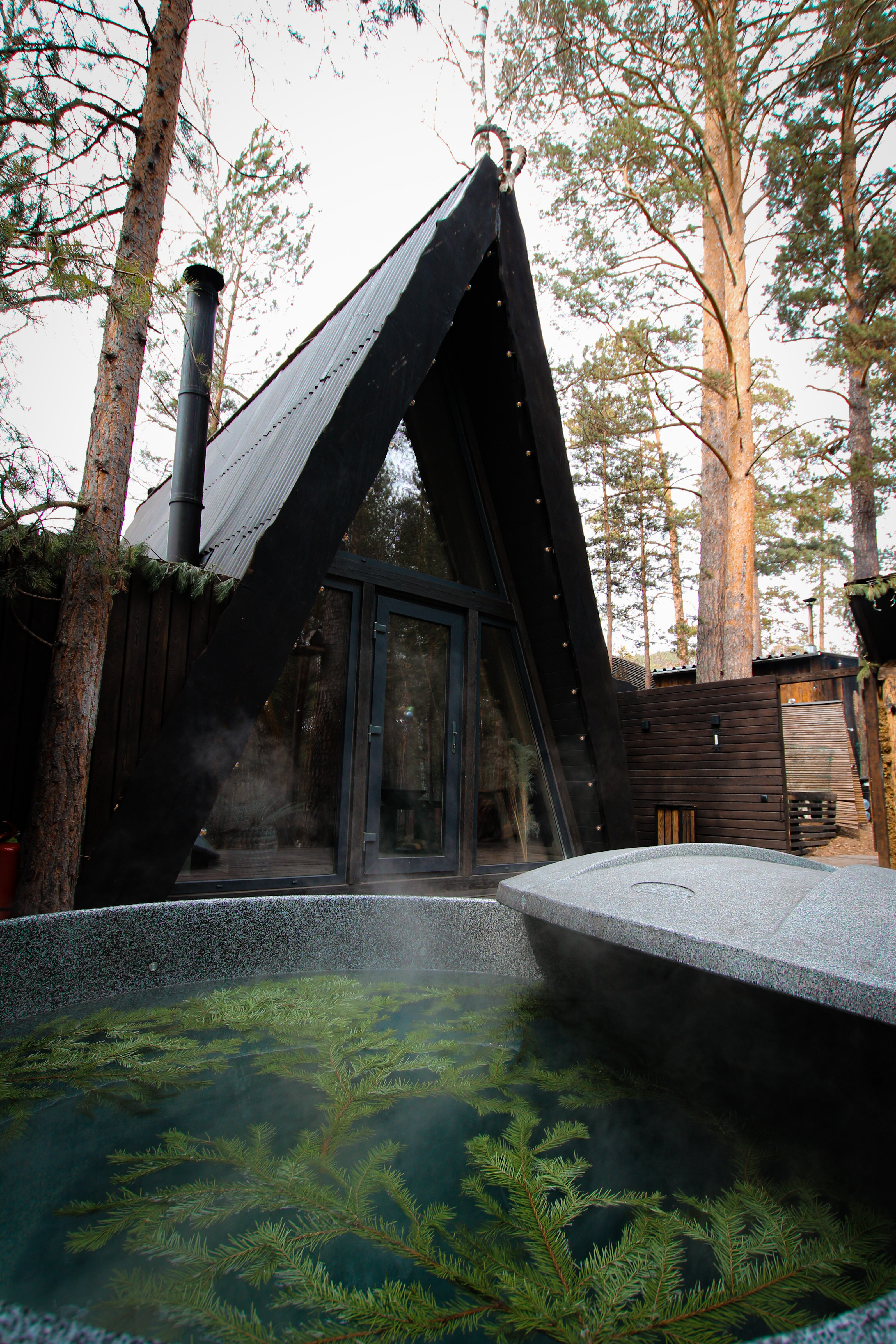 Фото Shalash and Forest