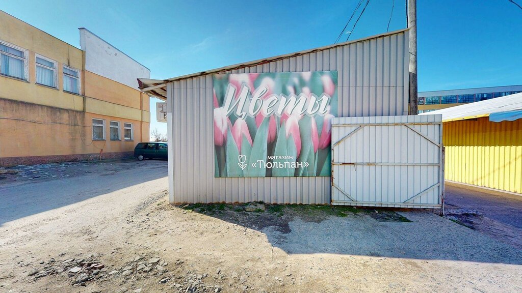 Flower shop Тюльпан, Rogachev, photo