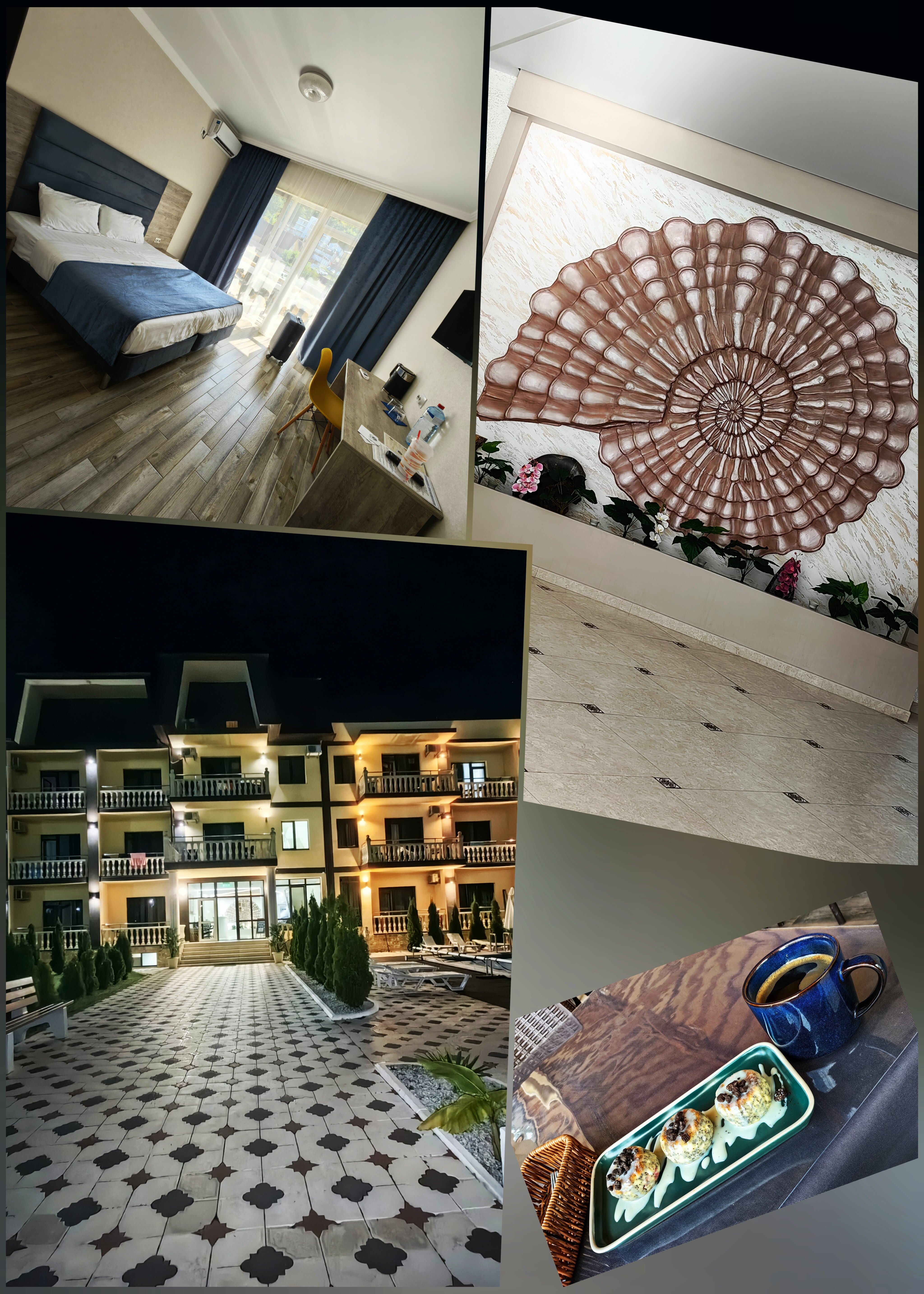 Фото Аммонит