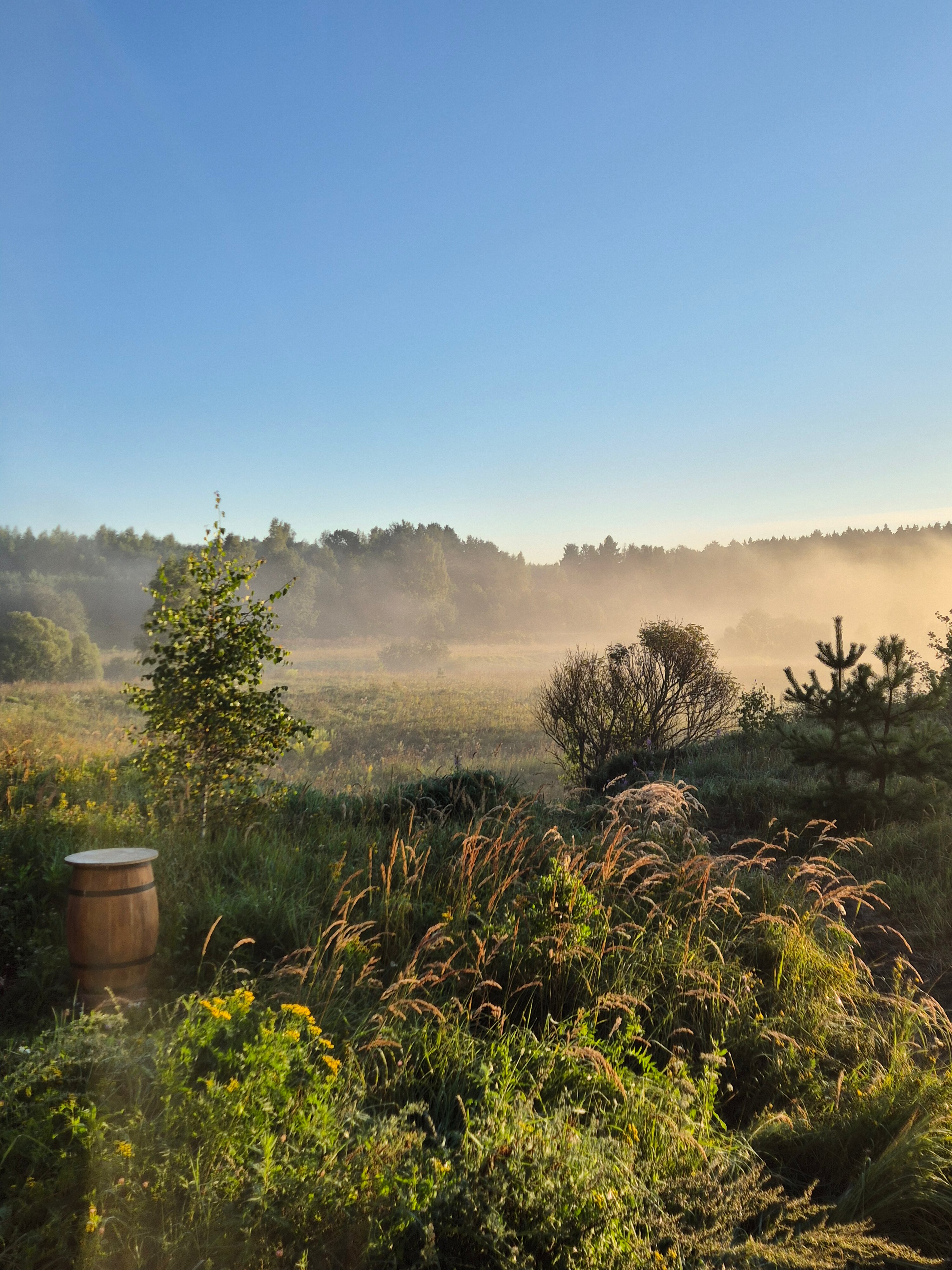 Фото Искона Дача