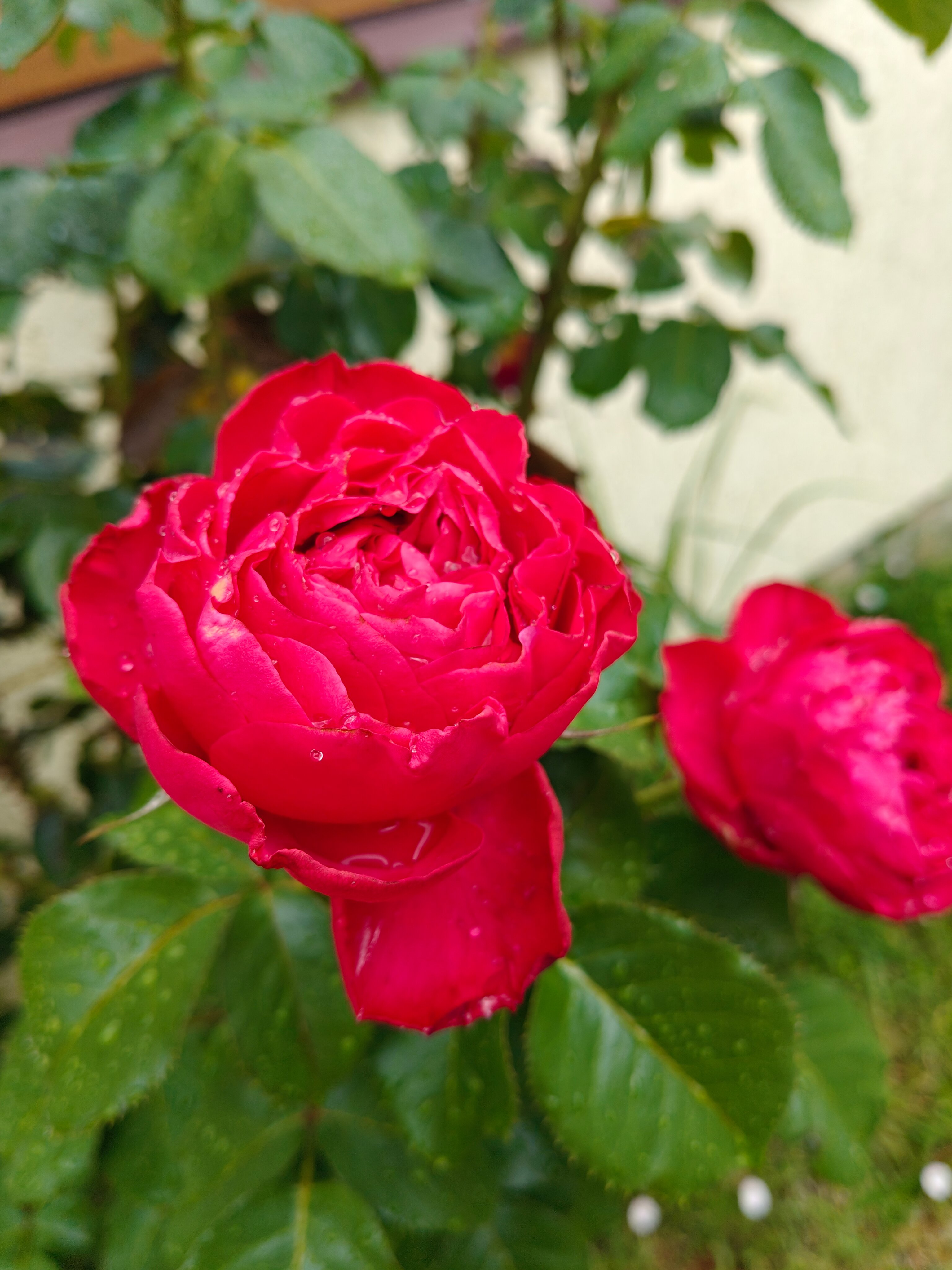 Фото Гостевой дом Данелян