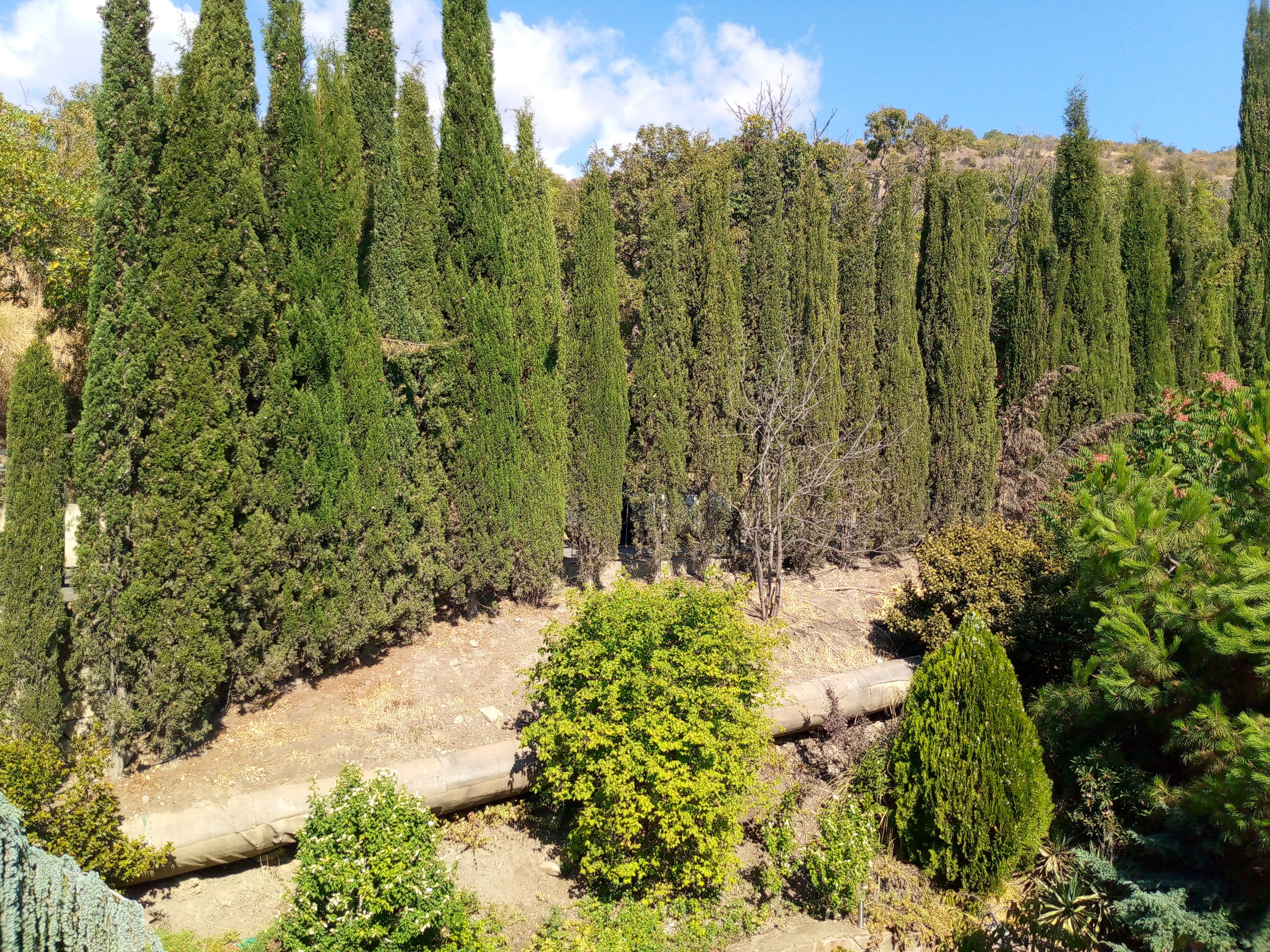 Фото Таврида