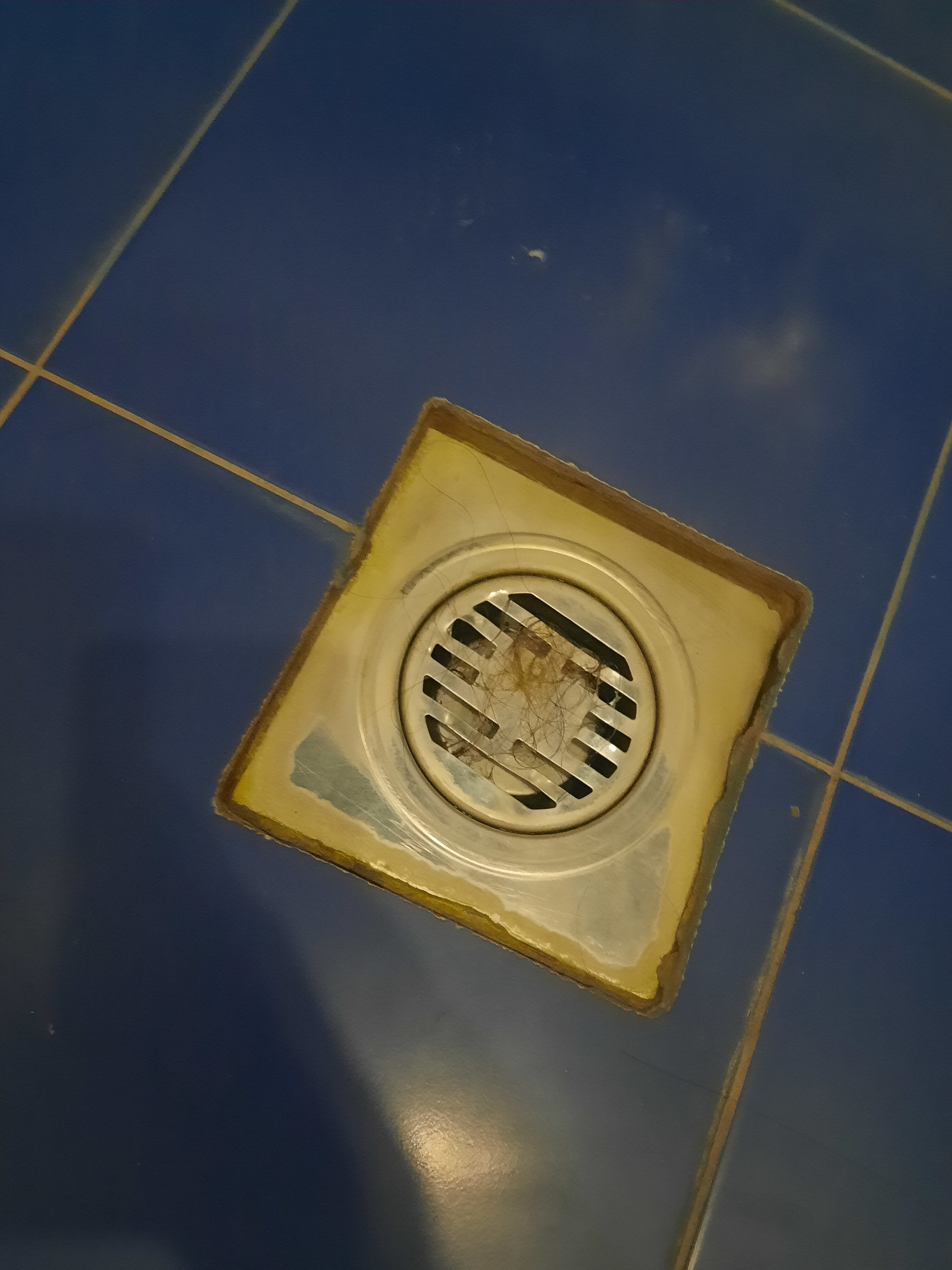 Фото Золотой Компас