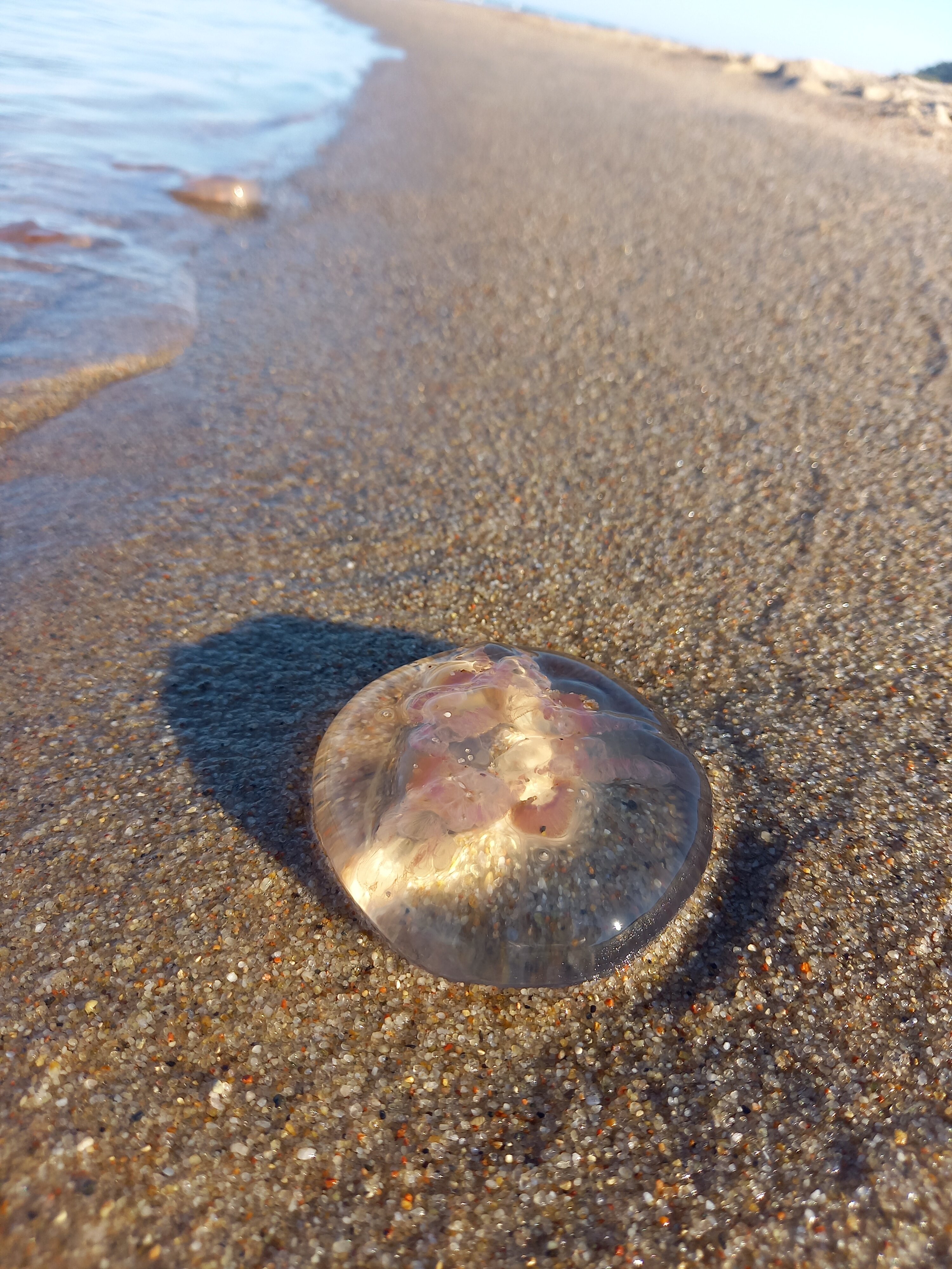 Фото Море Рядом