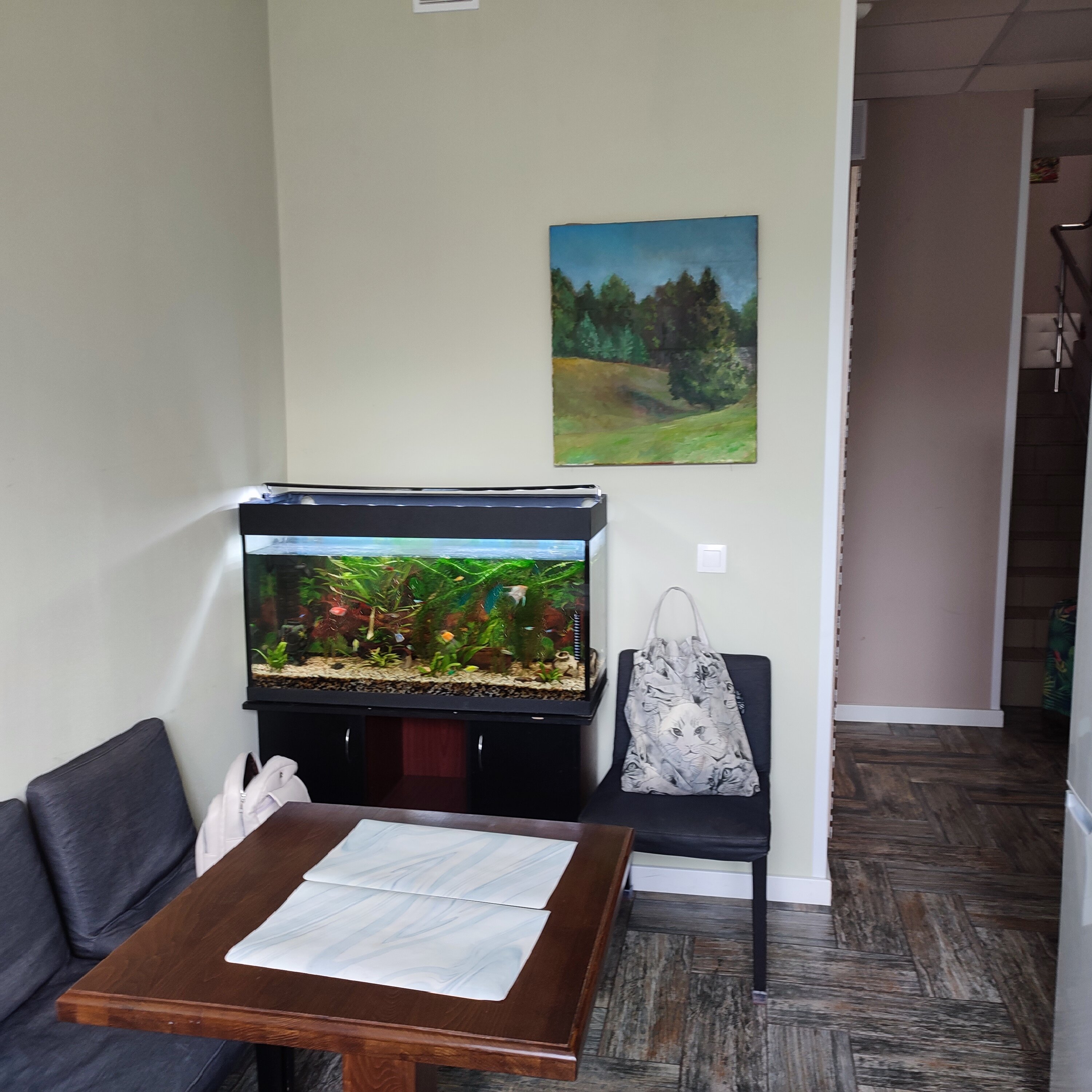 Фото Сова в Шереметьево