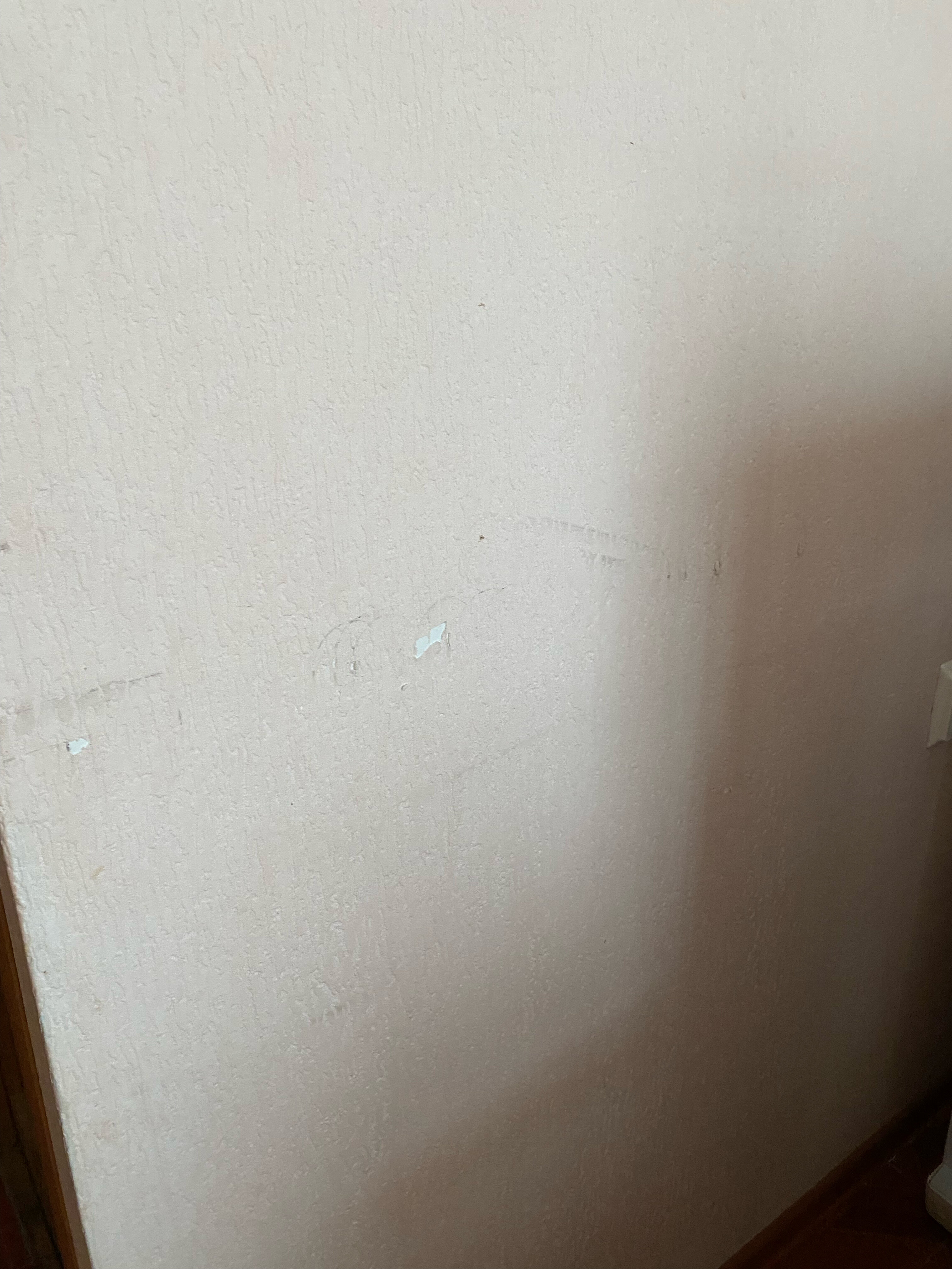 Фото ПреФект