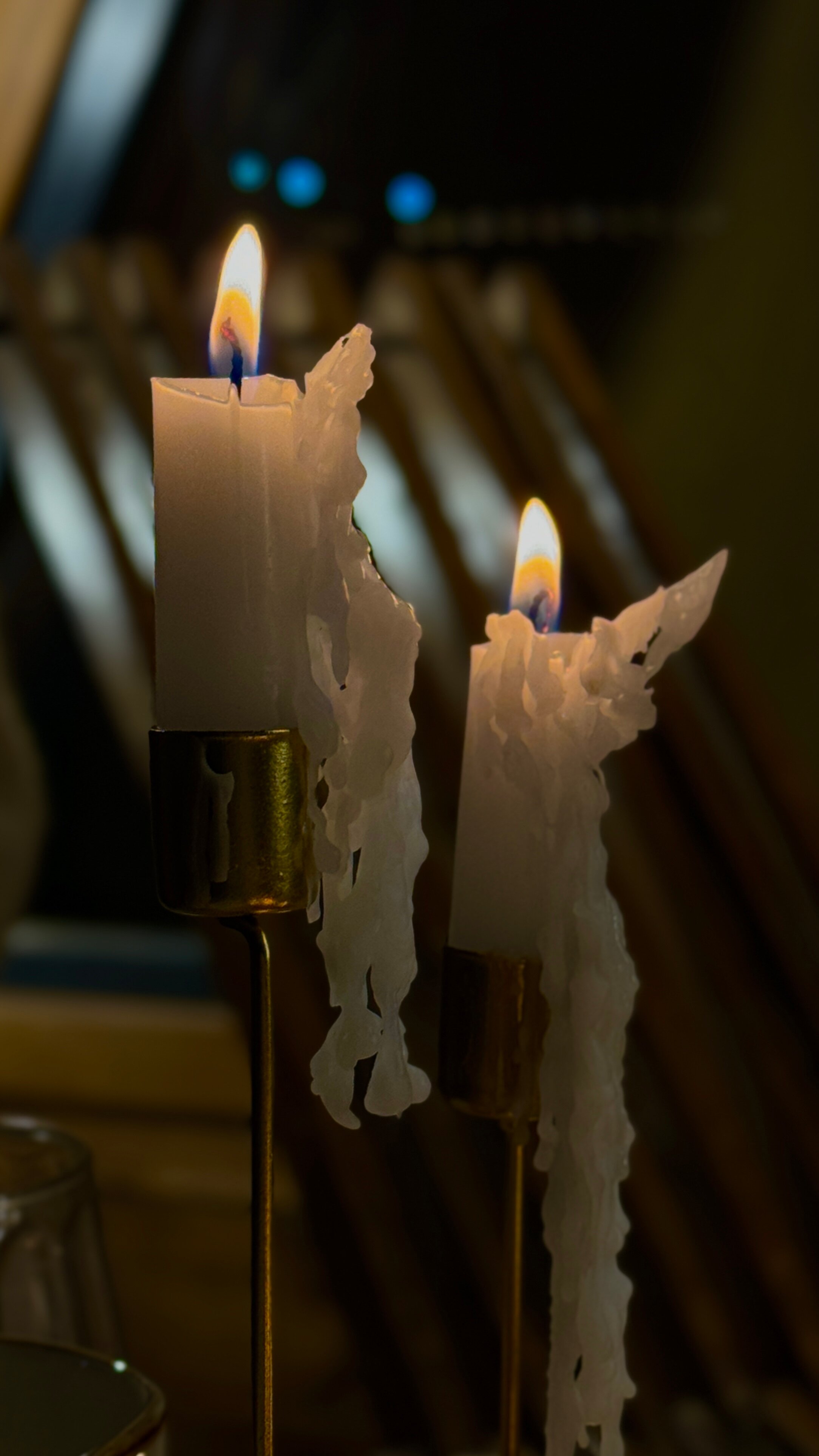 Фото Лесная Гармония