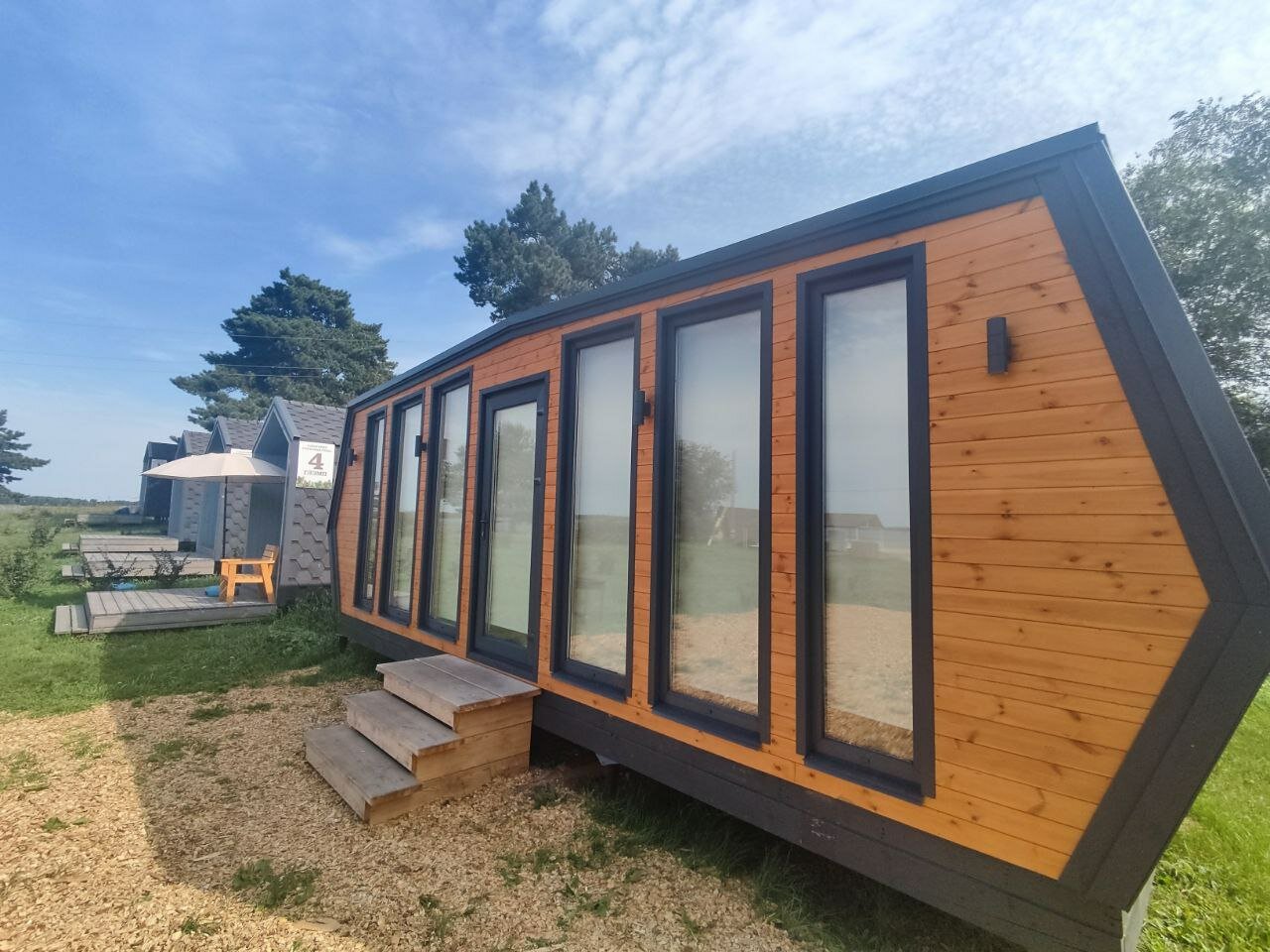 Фото Сосновая роща