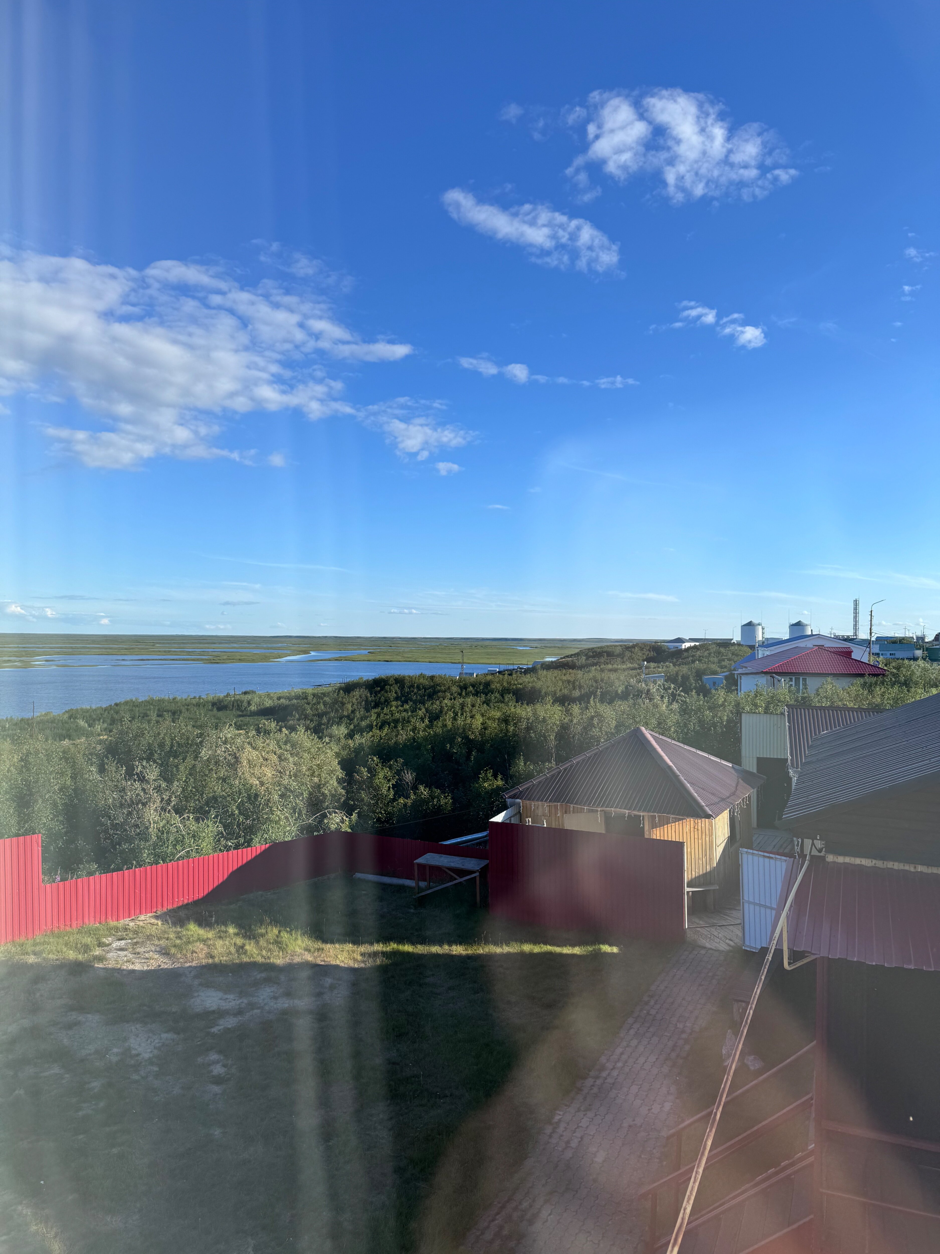 Фото Брусника