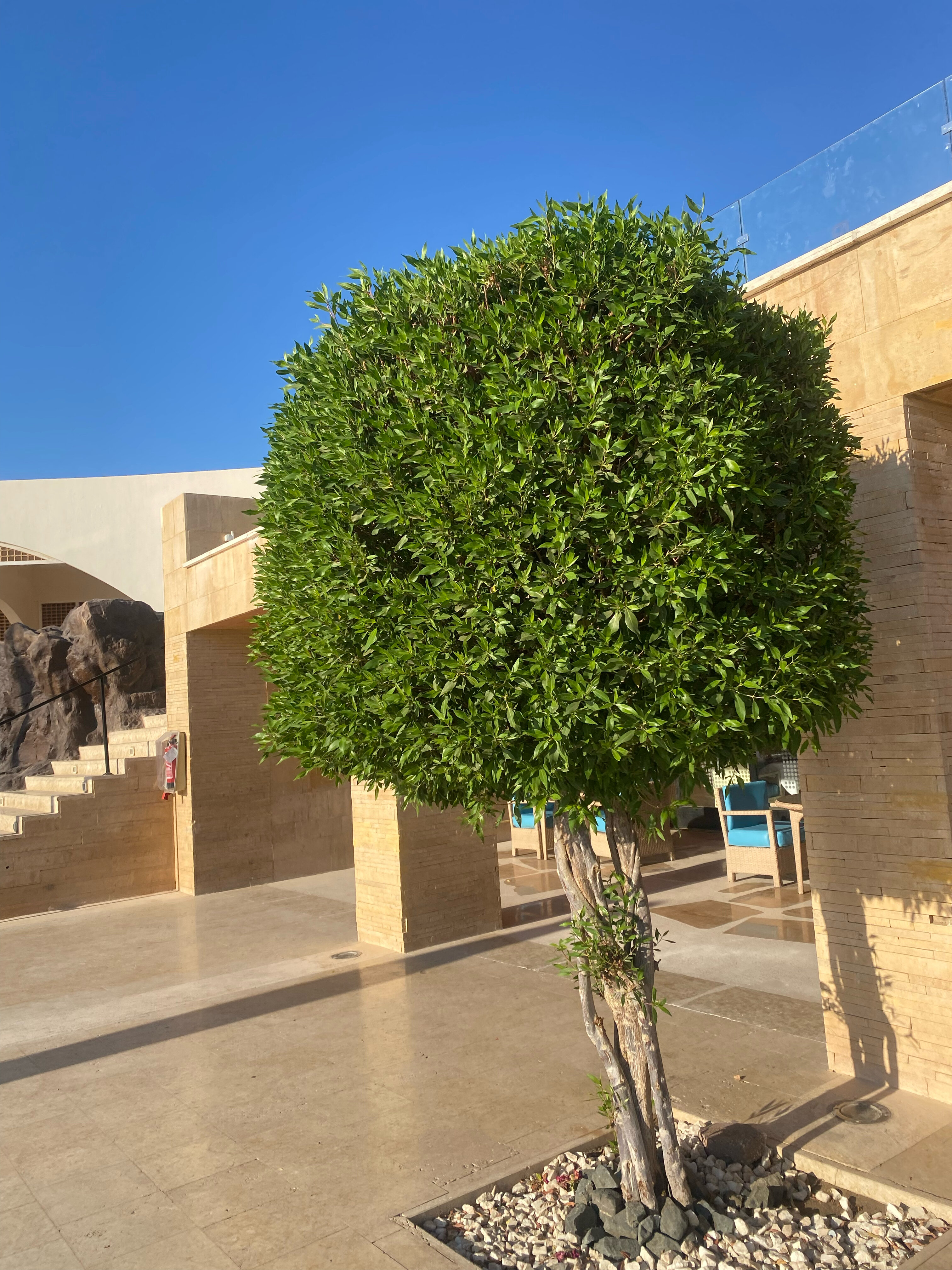 Фото Retac Qunay Resort & SPA