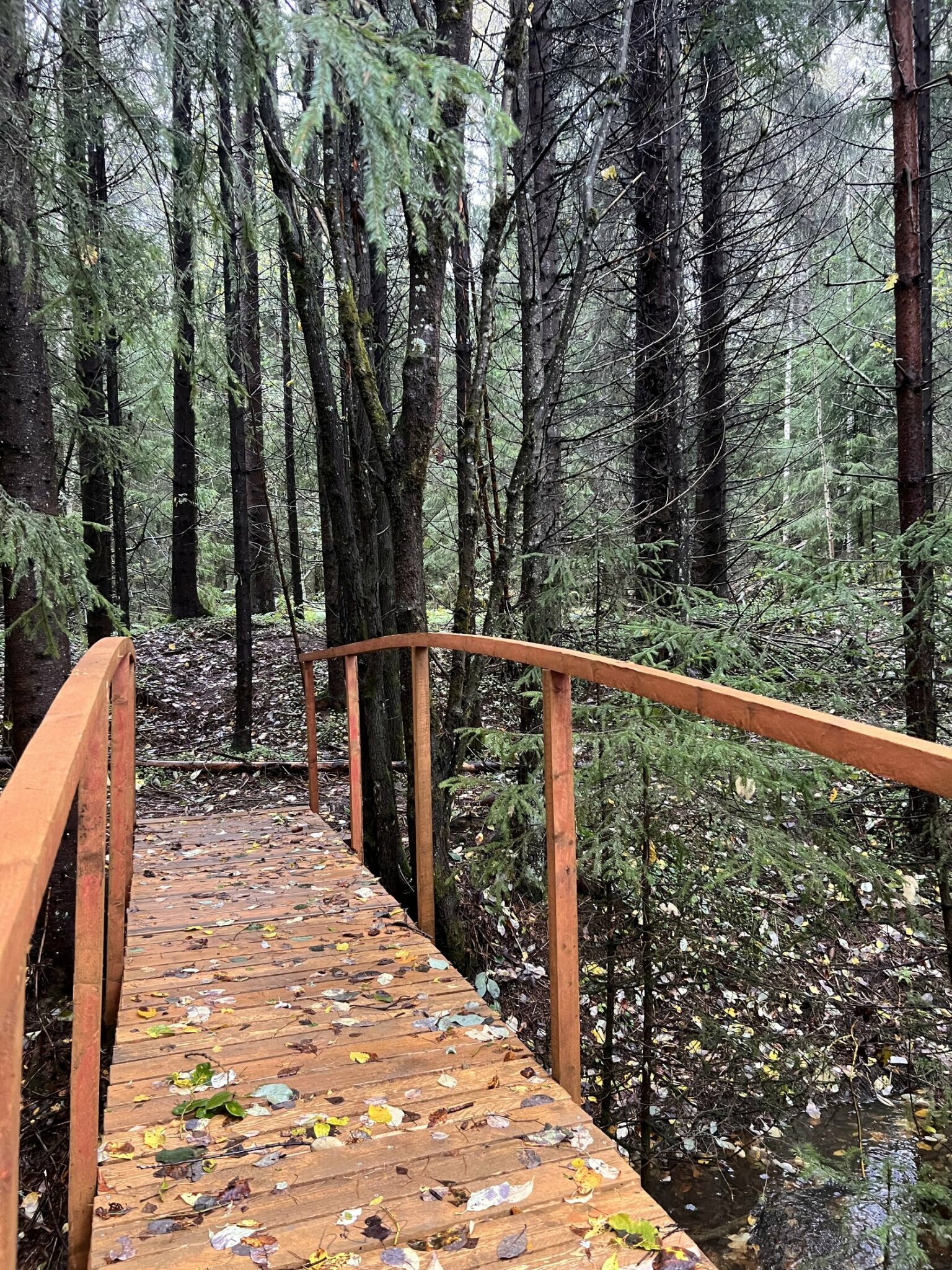 Фото Klever House Клеверная Бухта