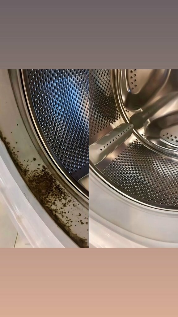 Cleaning services Gaid in Clean, Voronezh, photo