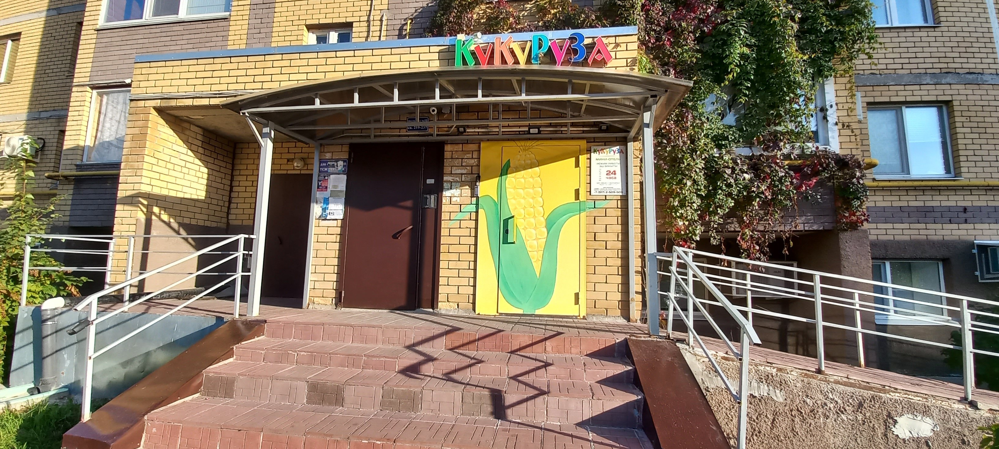 Фото Кукуруза