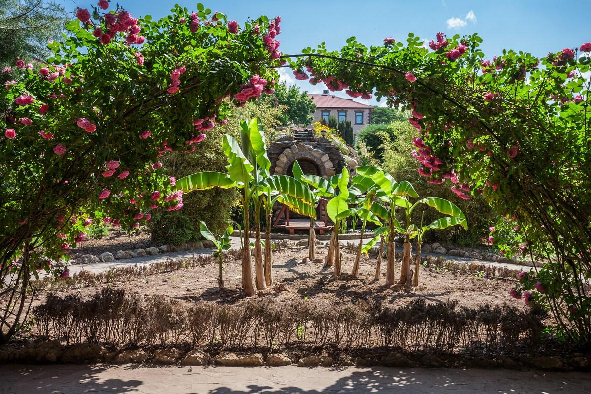 Фото Омега-клуб