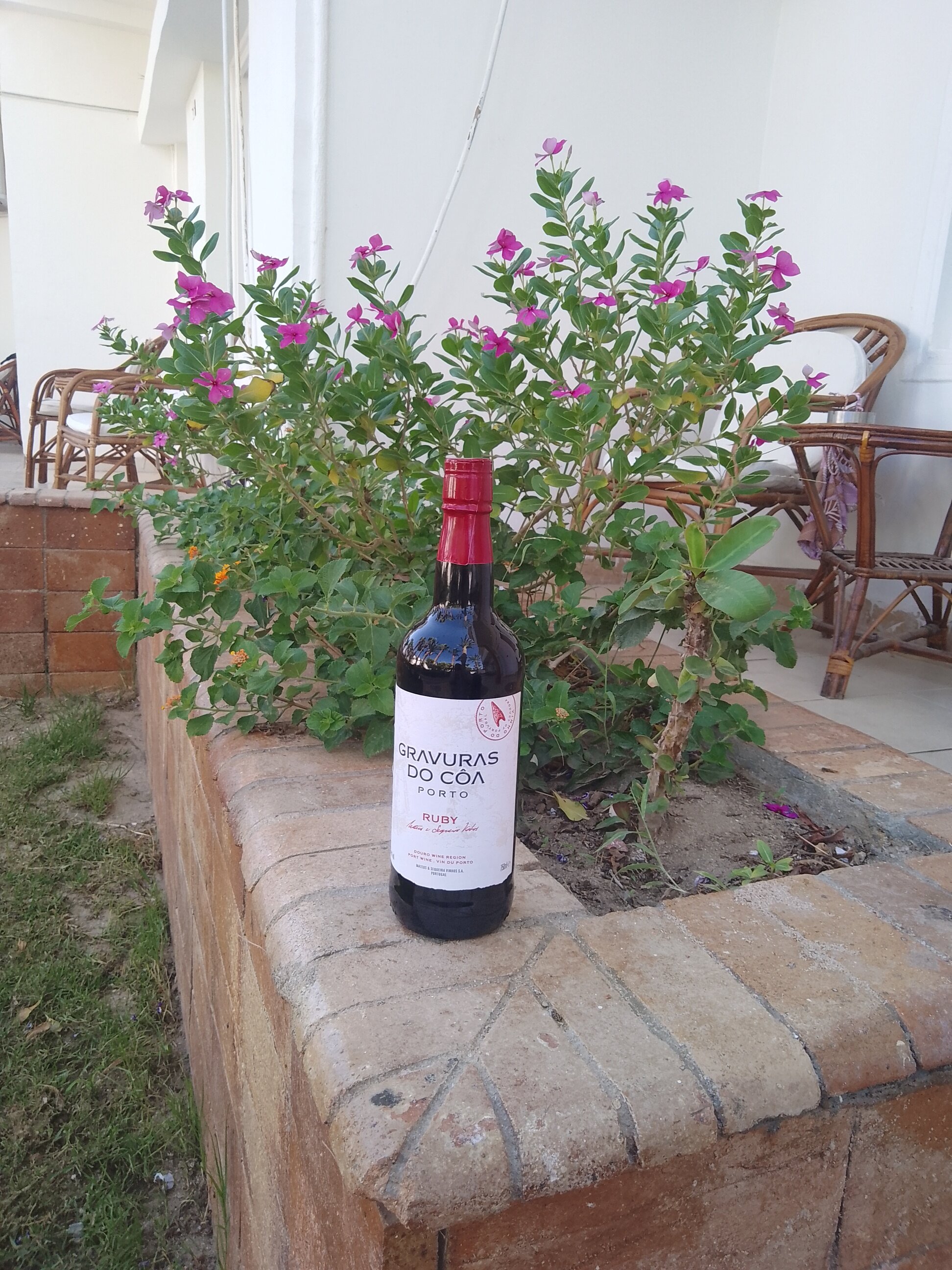 Фото Royal Star Empire Beach Resort