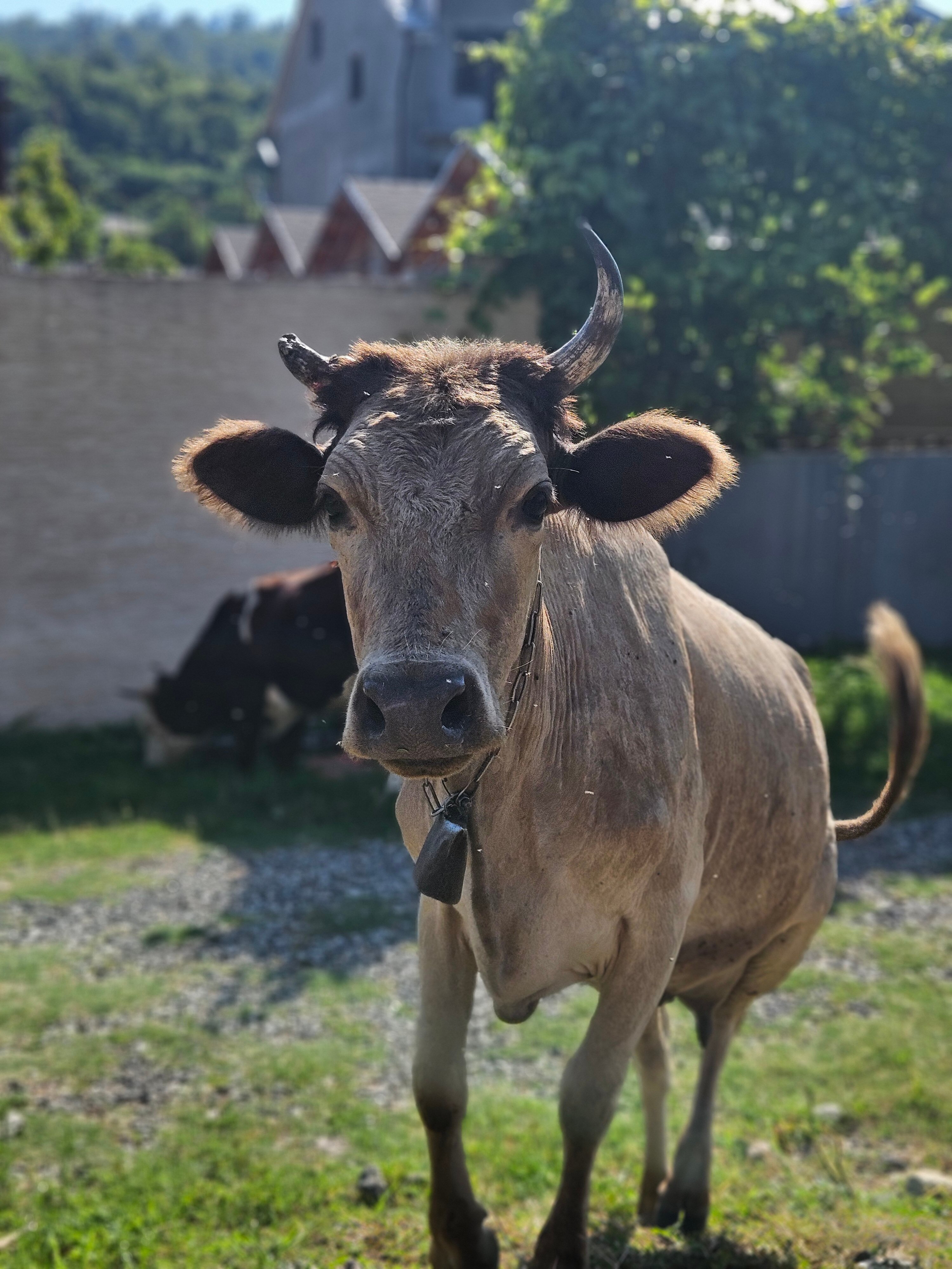 Фото Sea land cottege
