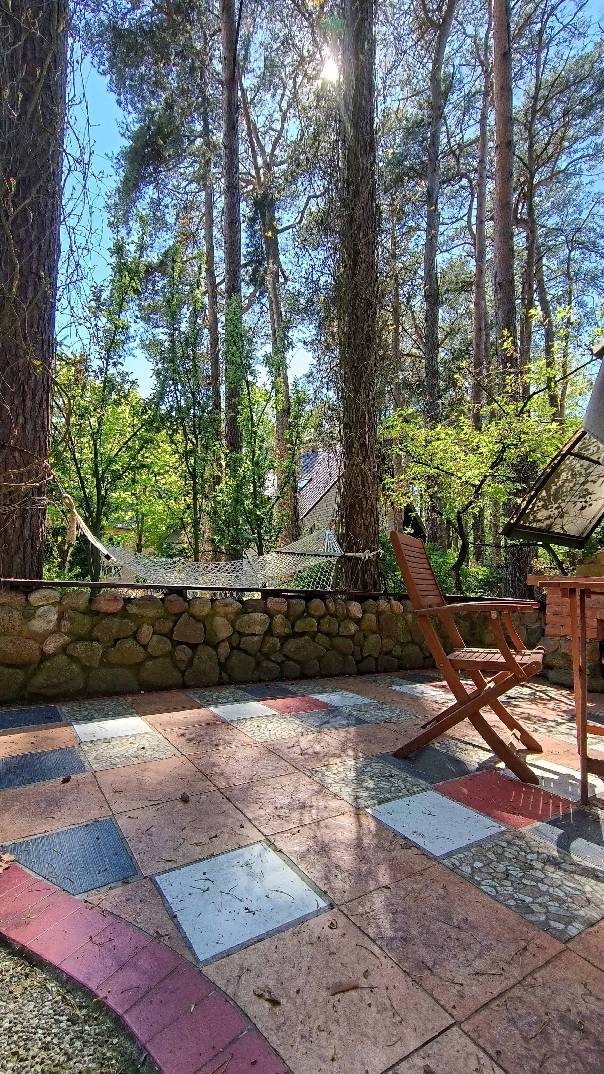 Фото Дом Дракона