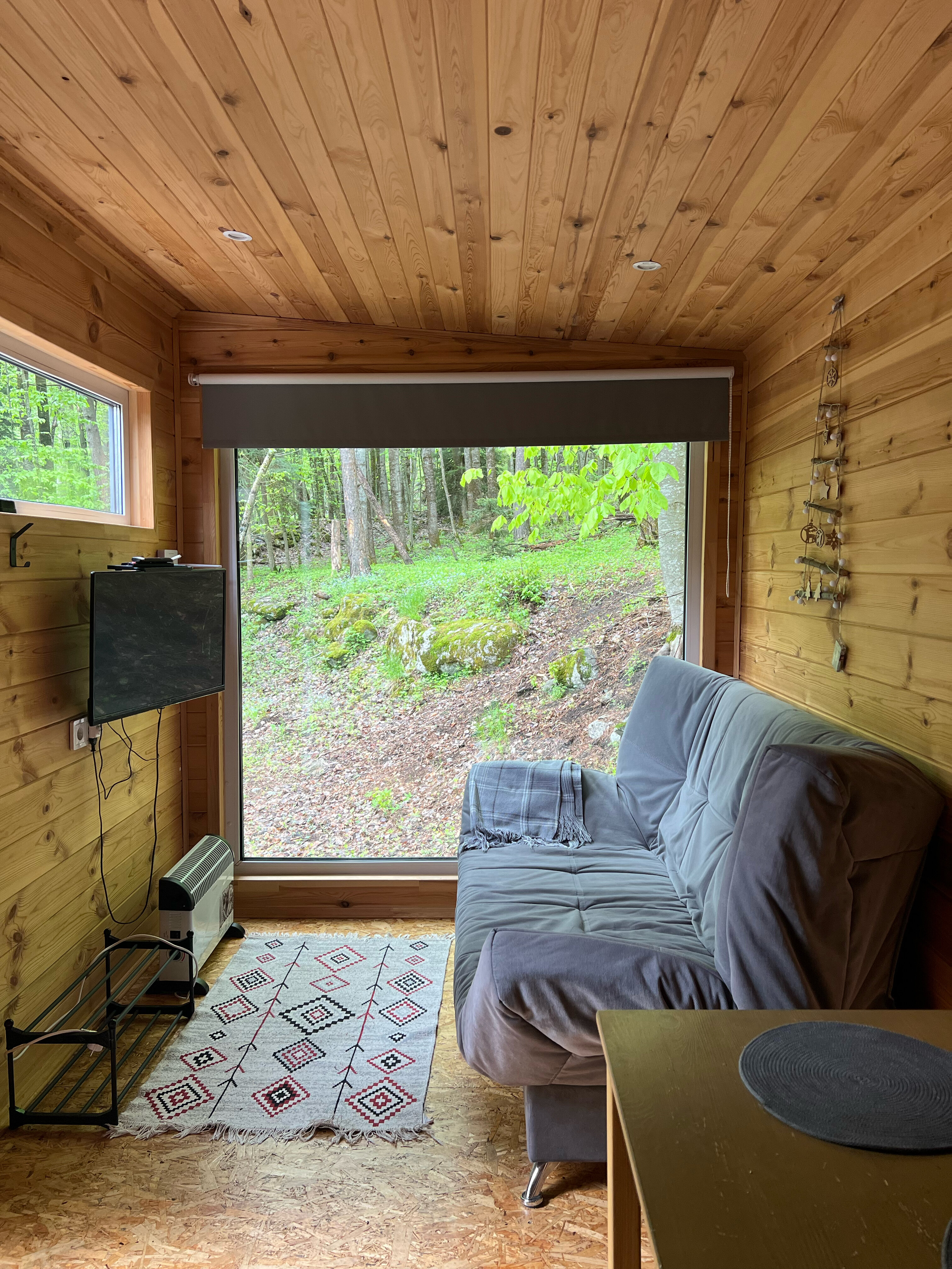 Фото Шелест