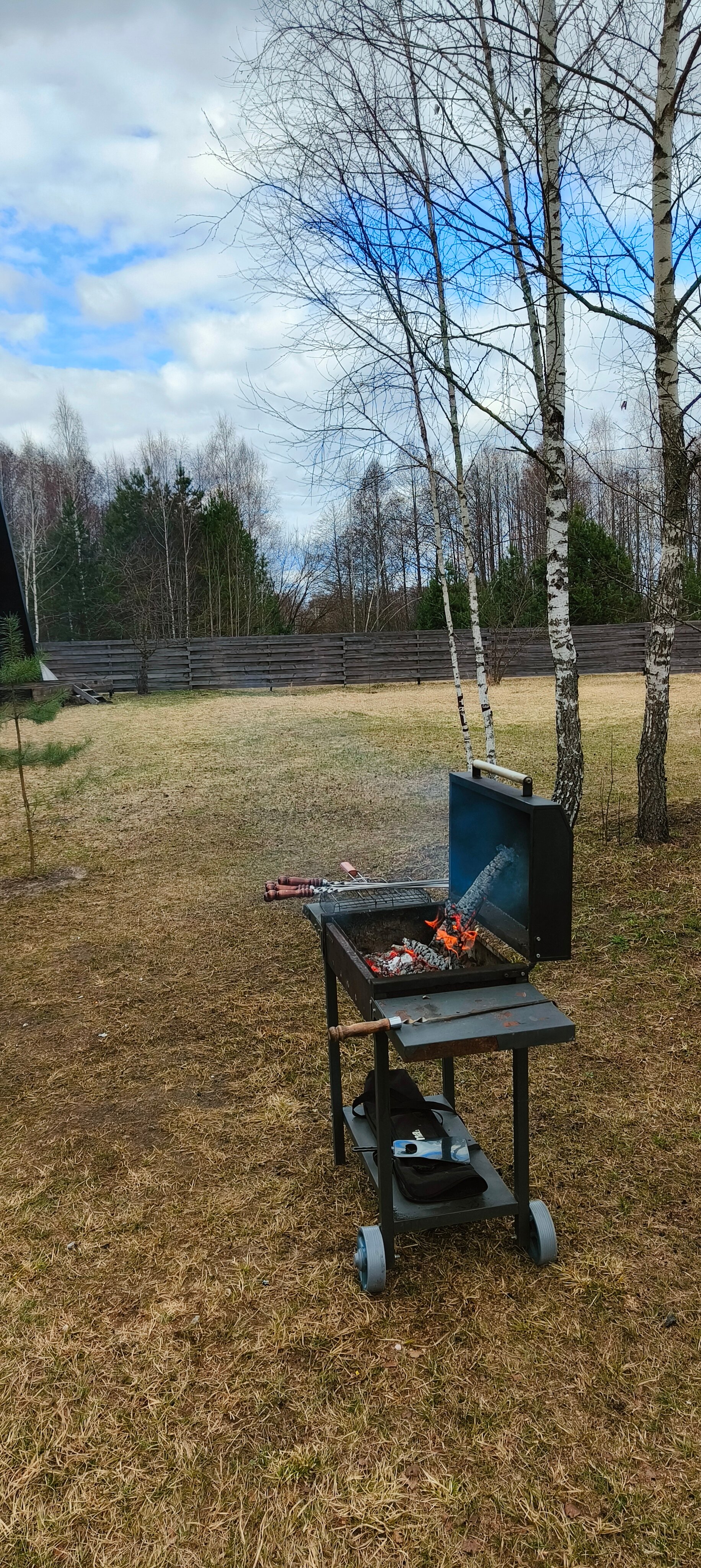 Фото Лесная поляна