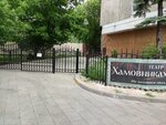 ArtDom Hamovniki (Khamovnichesky Val Street, 34) ، مسرح