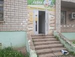Молочная лавка (Baranova Street, 77) ، معمل ألبان